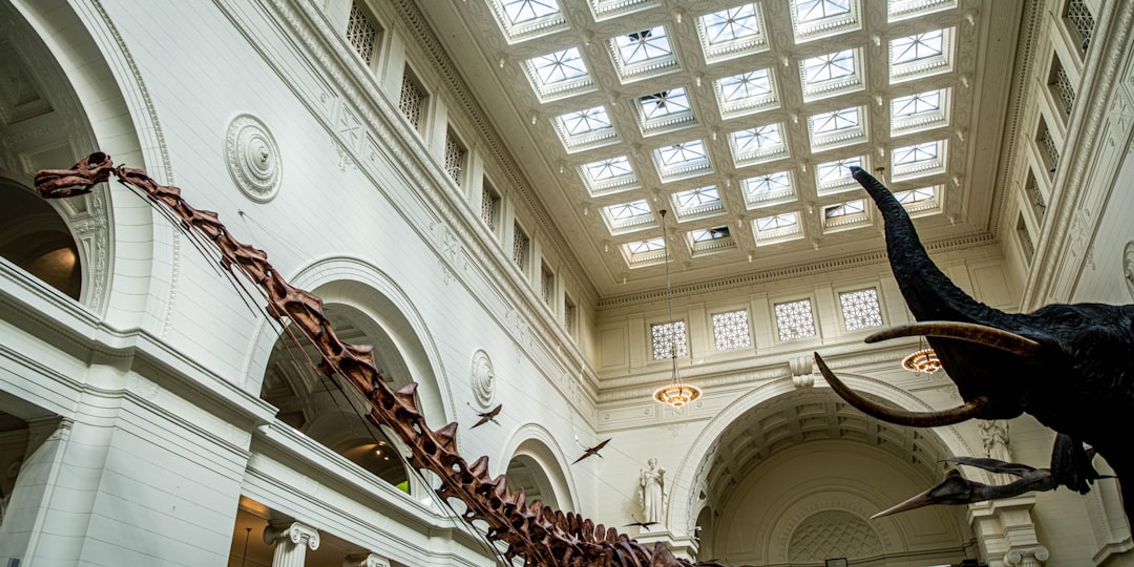 Hotels near The Field Museum