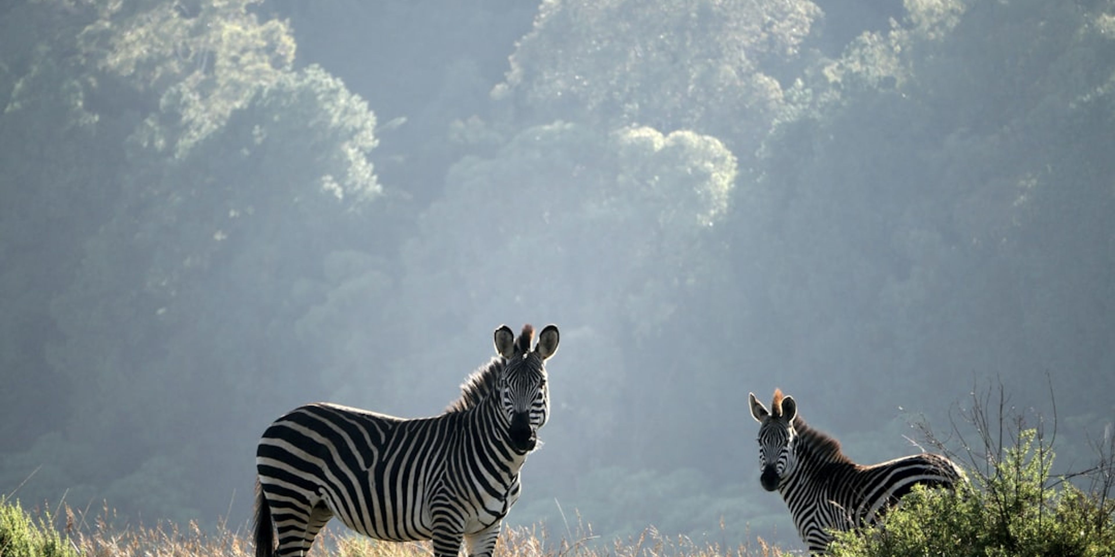 Hotels in Malawi