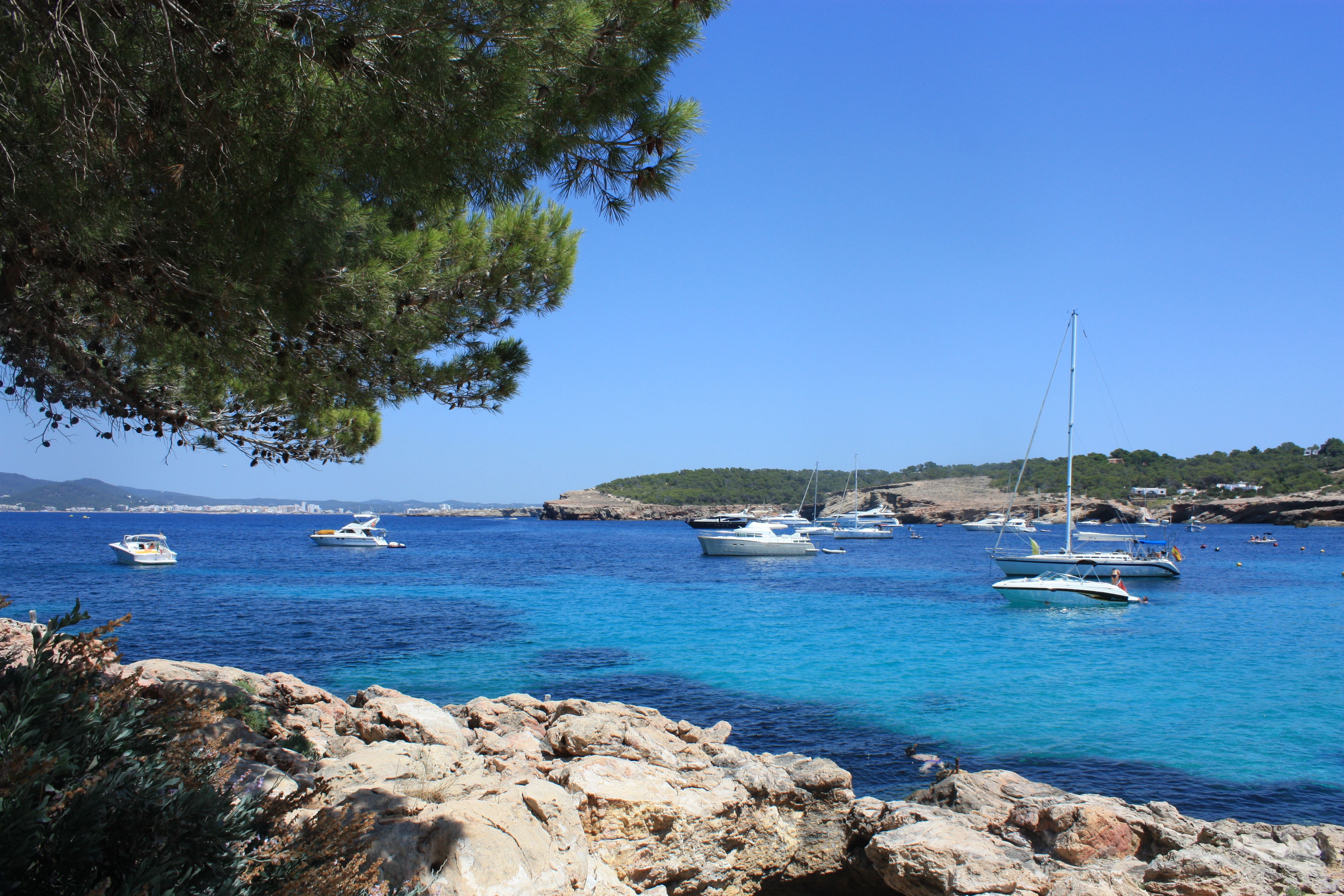 Cala Bassa - Family-Friendly Pine-Fringed Swimming Cove
