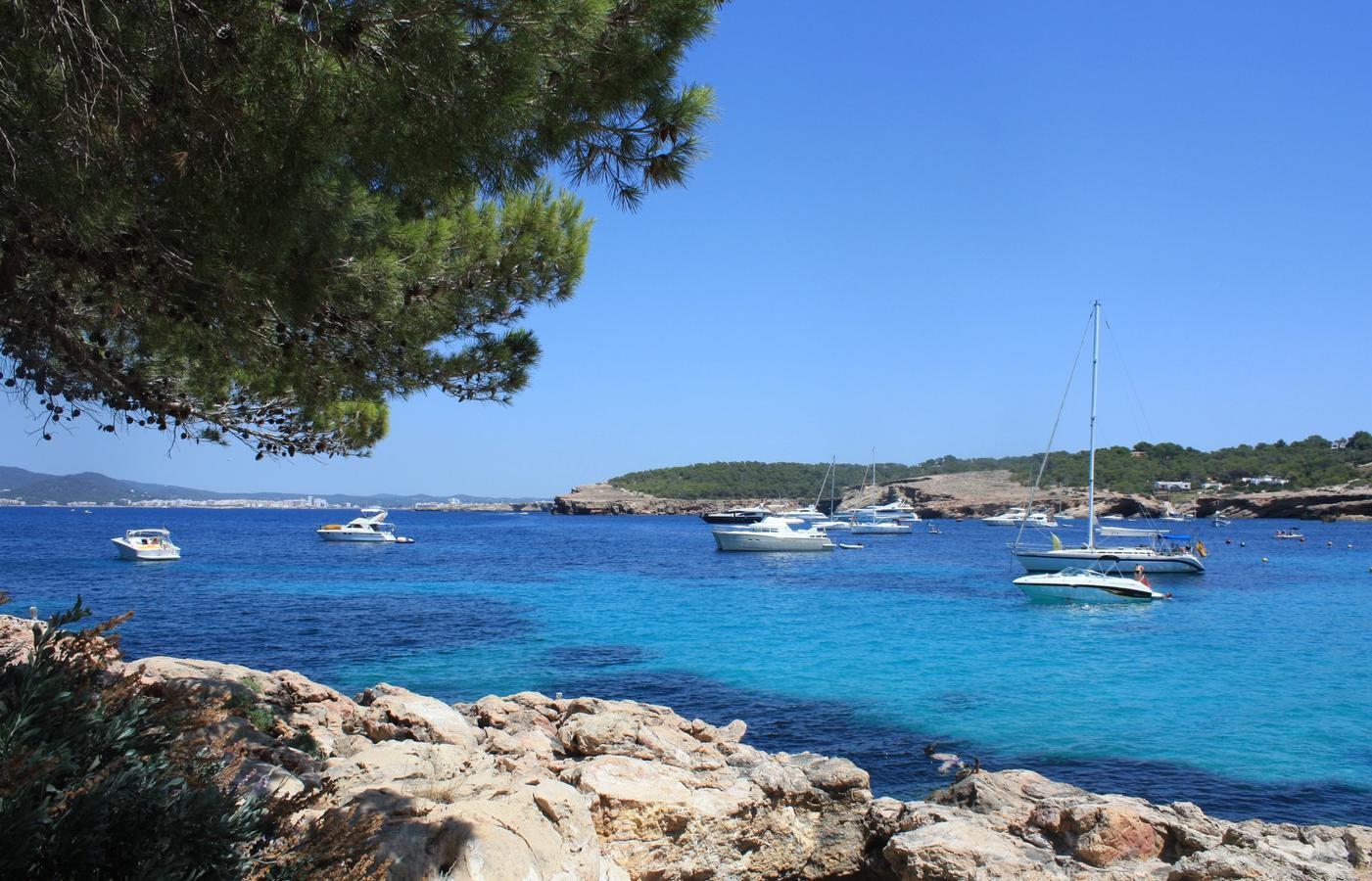 Cala Bassa - Family-Friendly Pine-Fringed Swimming Cove