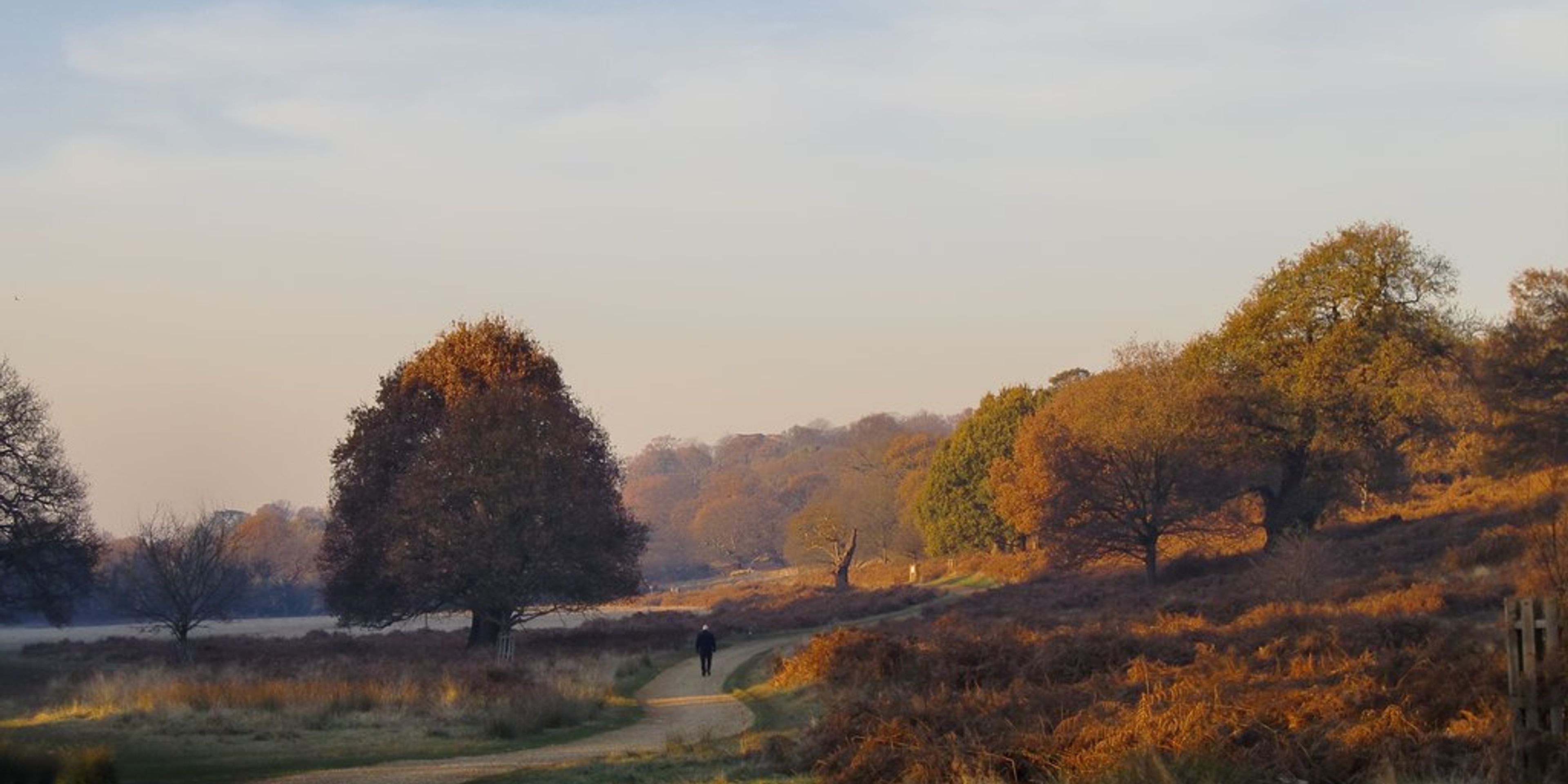 Hotels near Richmond Park