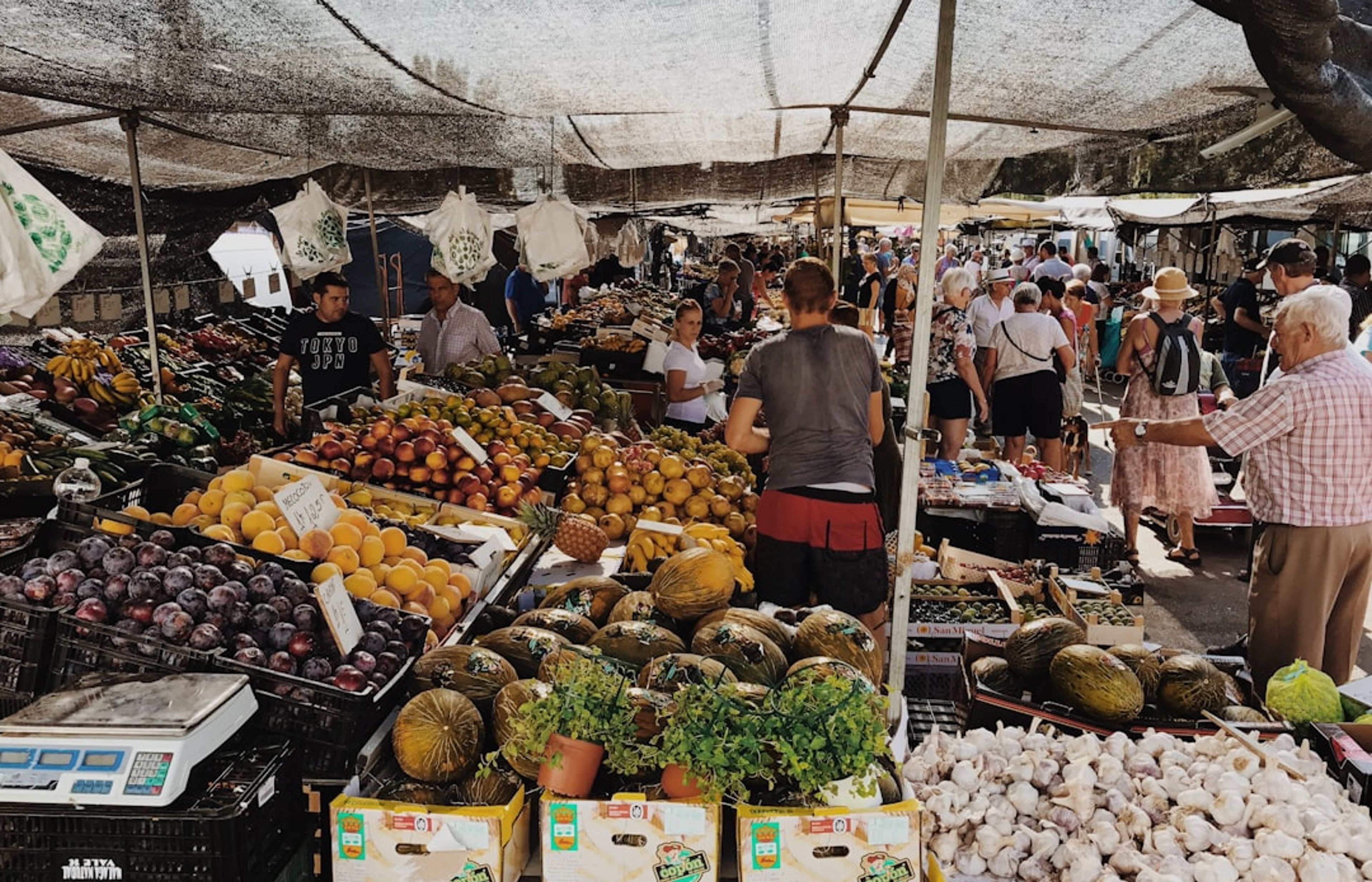 Mercato di Mezzo - Bologna's Best Food Hall for Aperitivo