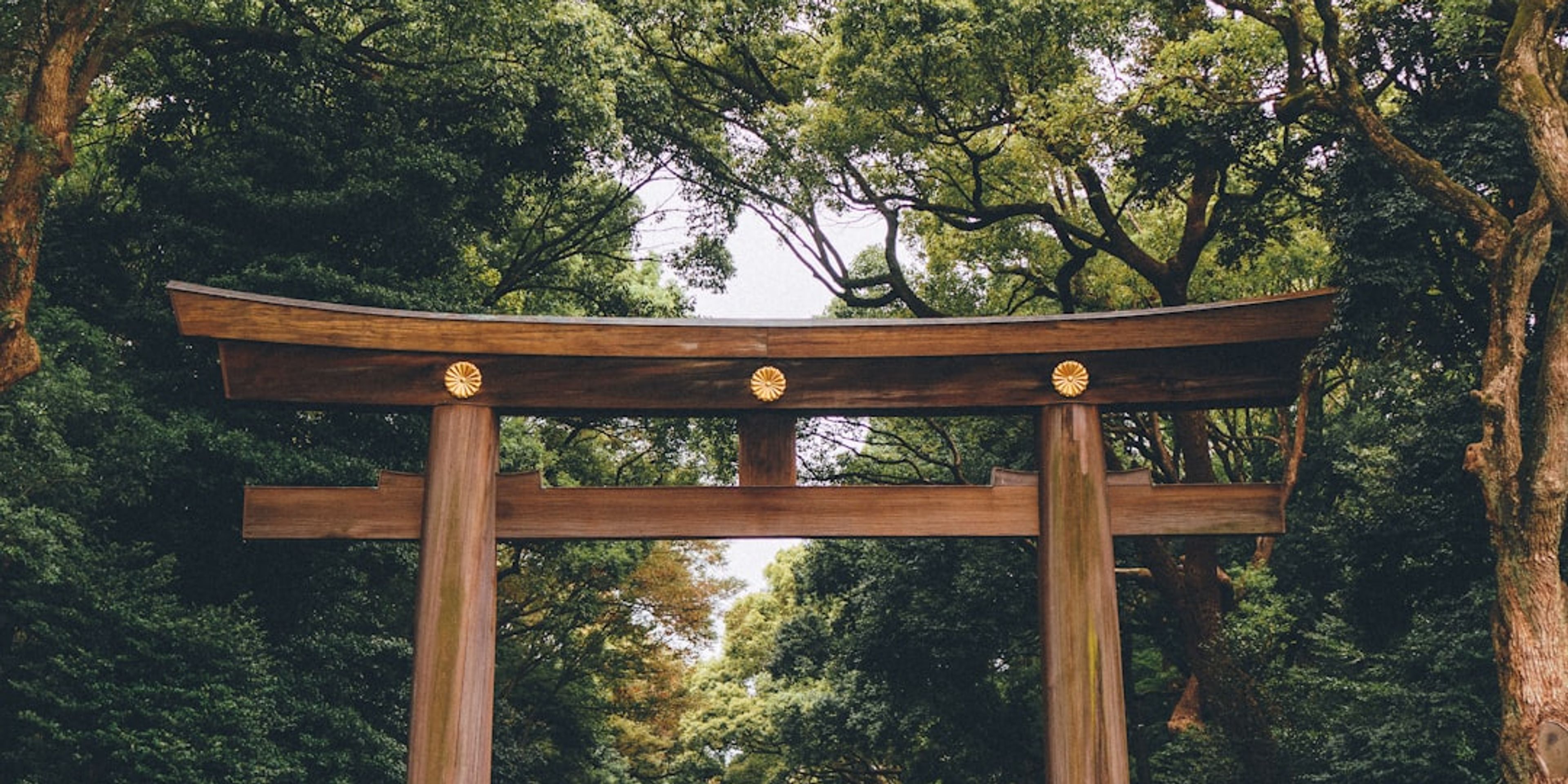 Hotels near Meiji Shrine