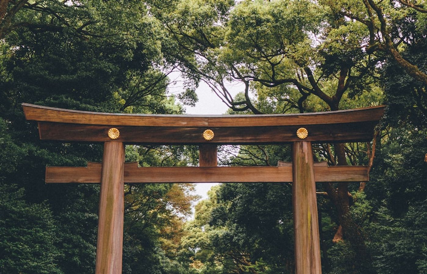 Meiji Shrine - The Forest Sanctuary in the Heart of Tokyo