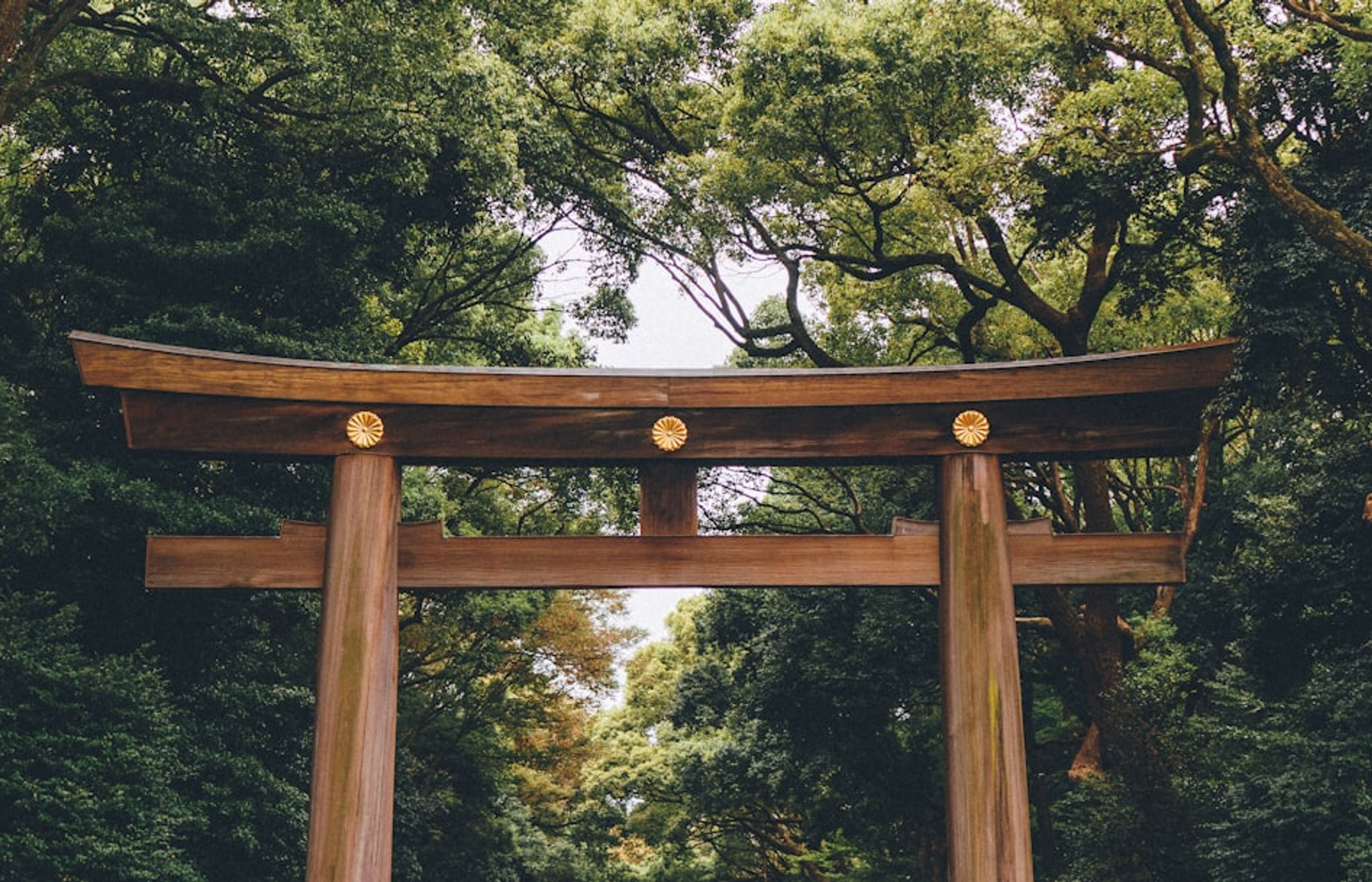 Meiji Shrine - The Forest Sanctuary in the Heart of Tokyo