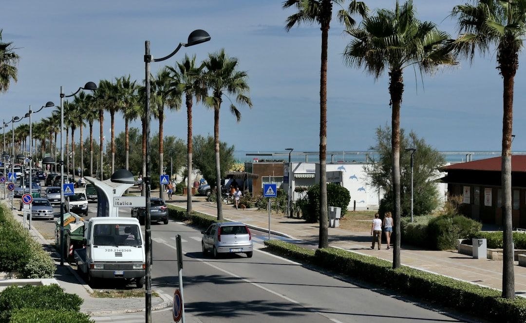 Boulevard de la Croisette - The Legendary Seafront Promenade