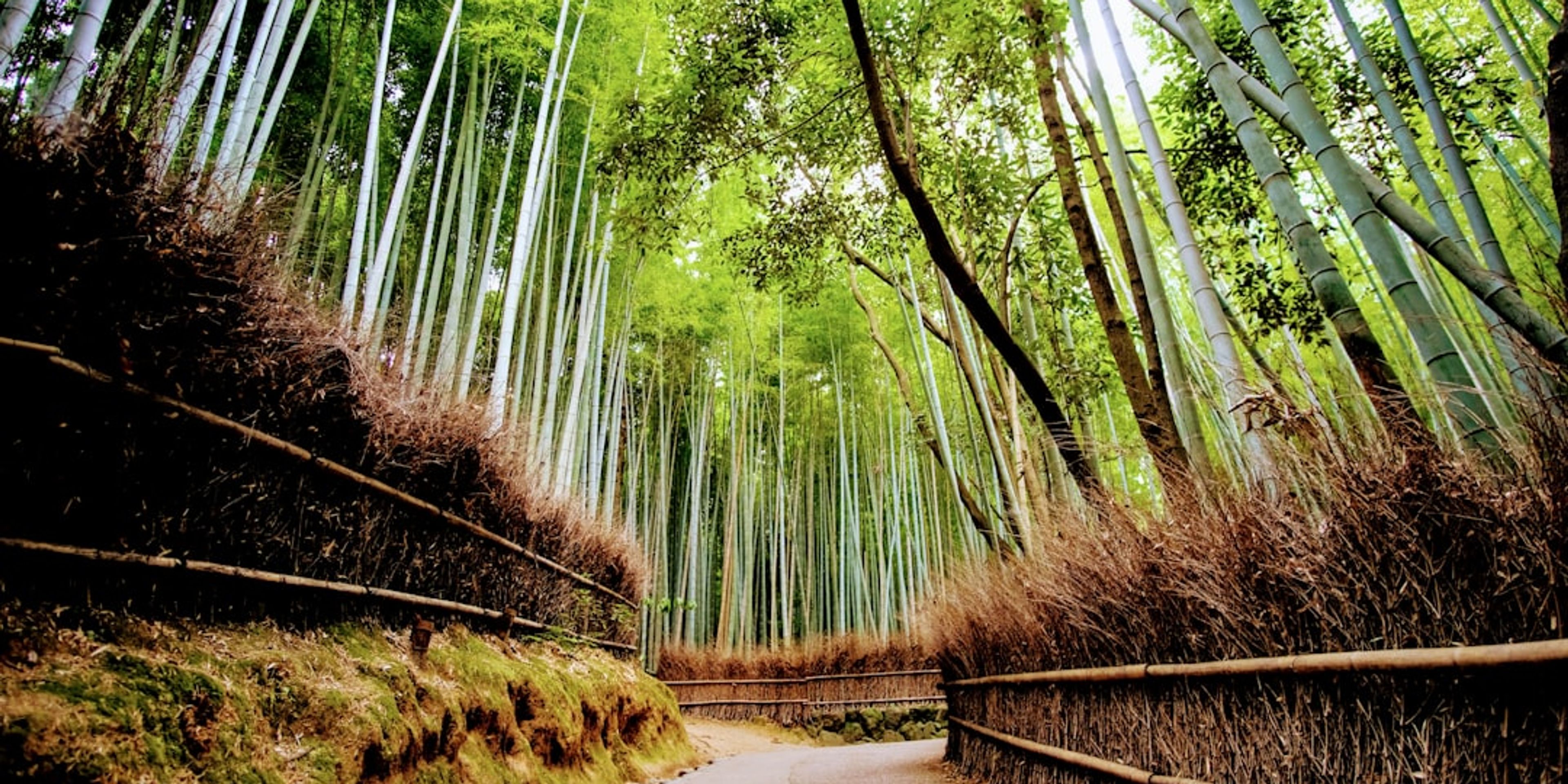 Hotels near Arashiyama