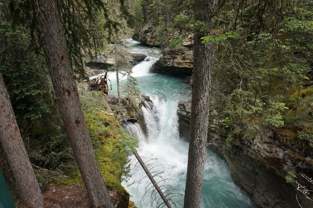 Twin Falls and the Lynn Canyon Suspension Bridge - The Free Short Loop
