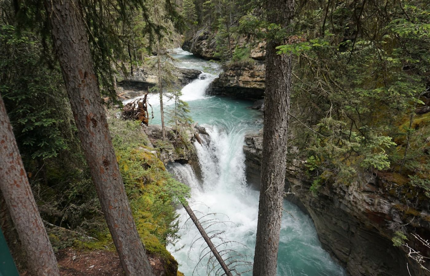 Twin Falls and the Lynn Canyon Suspension Bridge - The Free Short Loop