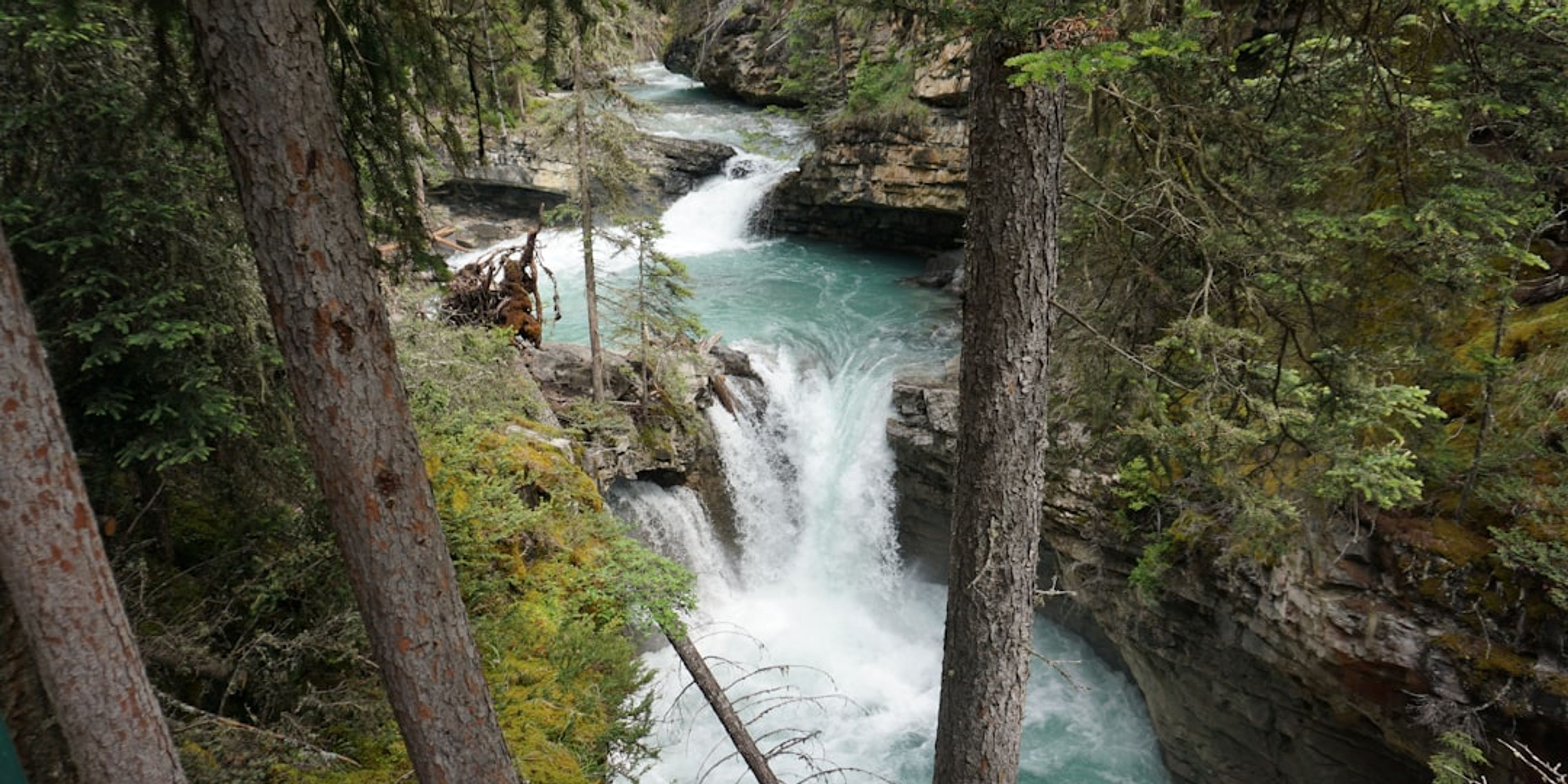 Hotels near Twin Falls and the Lynn Canyon Suspension Bridge