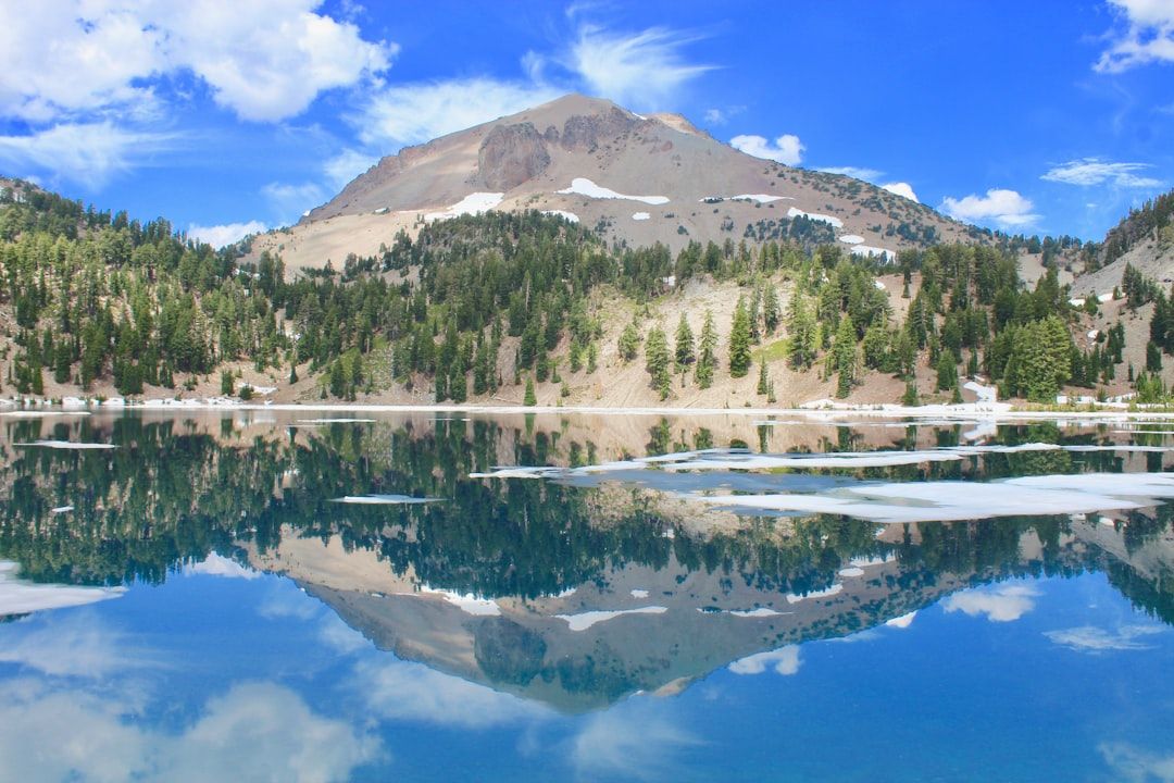 Helen Lake - Alpine Meadows and Marmots on the Icefields Parkway