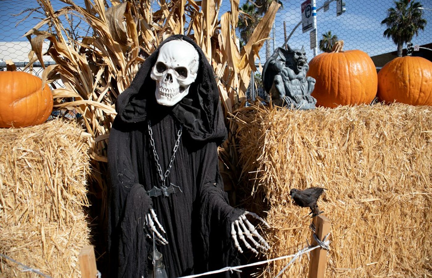 SeaWorld San Diego - Halloween Spooktacular on Mission Bay
