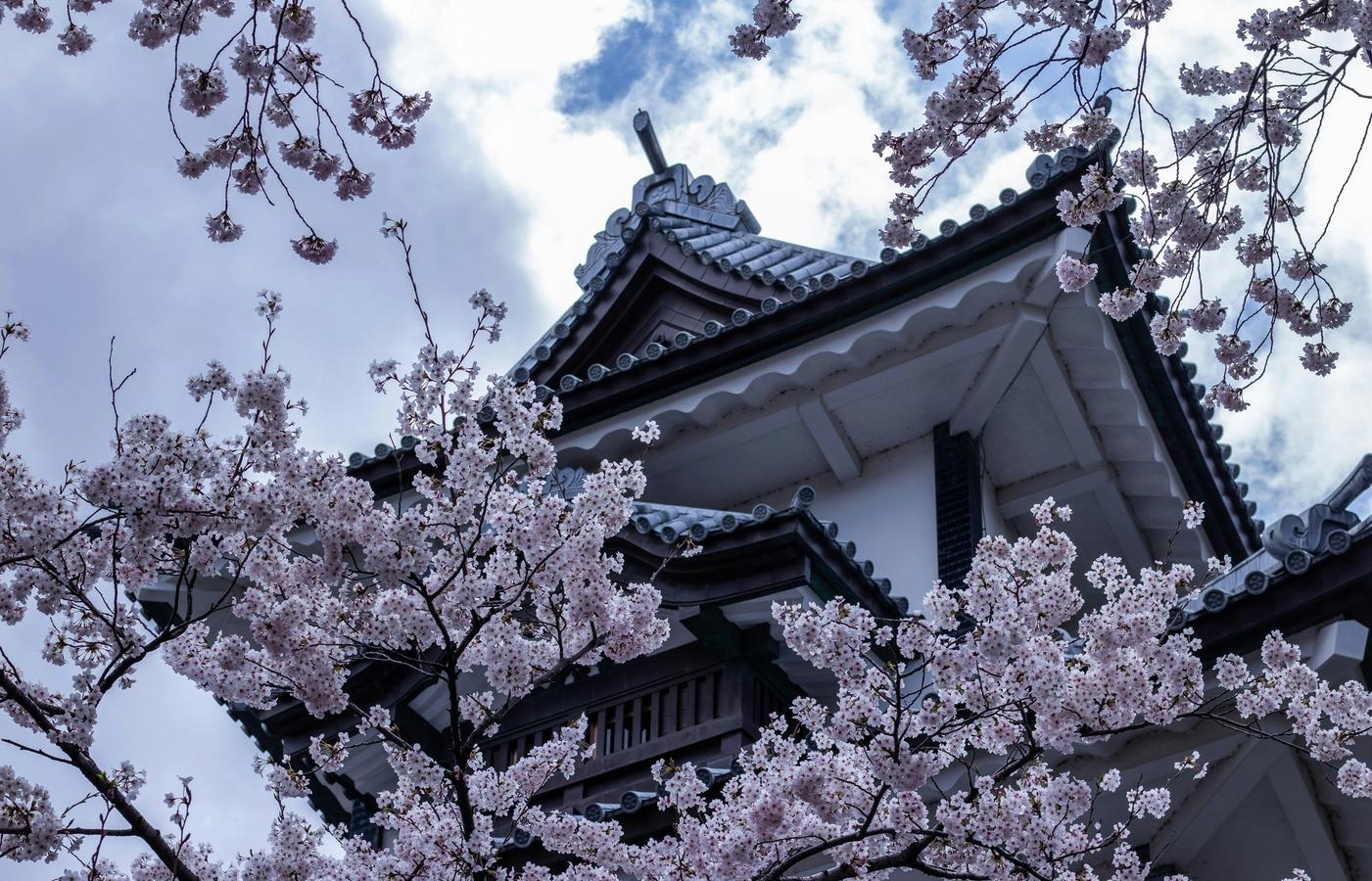 Kanazawa Castle Park - History at the Centre of the City
