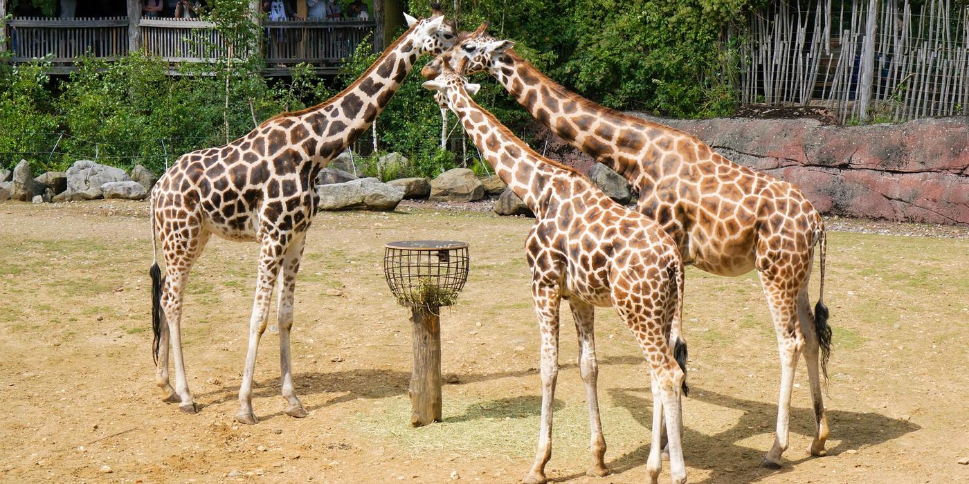 Hotels near Bioparc Valencia