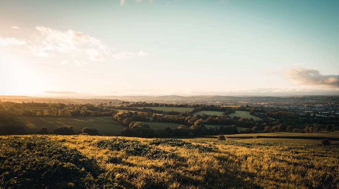 The Bath Skyline Walk - Six Miles of Hills, Meadows and Rooftop Views