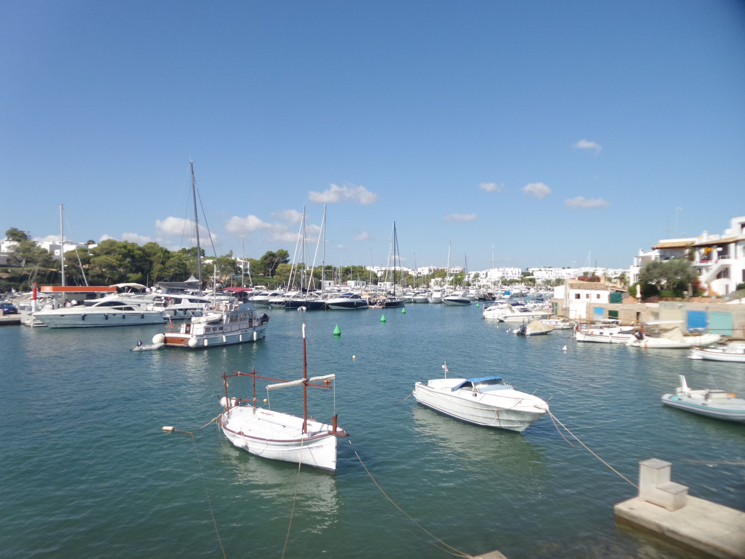 Cala Llonga - The Calmest and Safest Beach in Ibiza for Young Children
