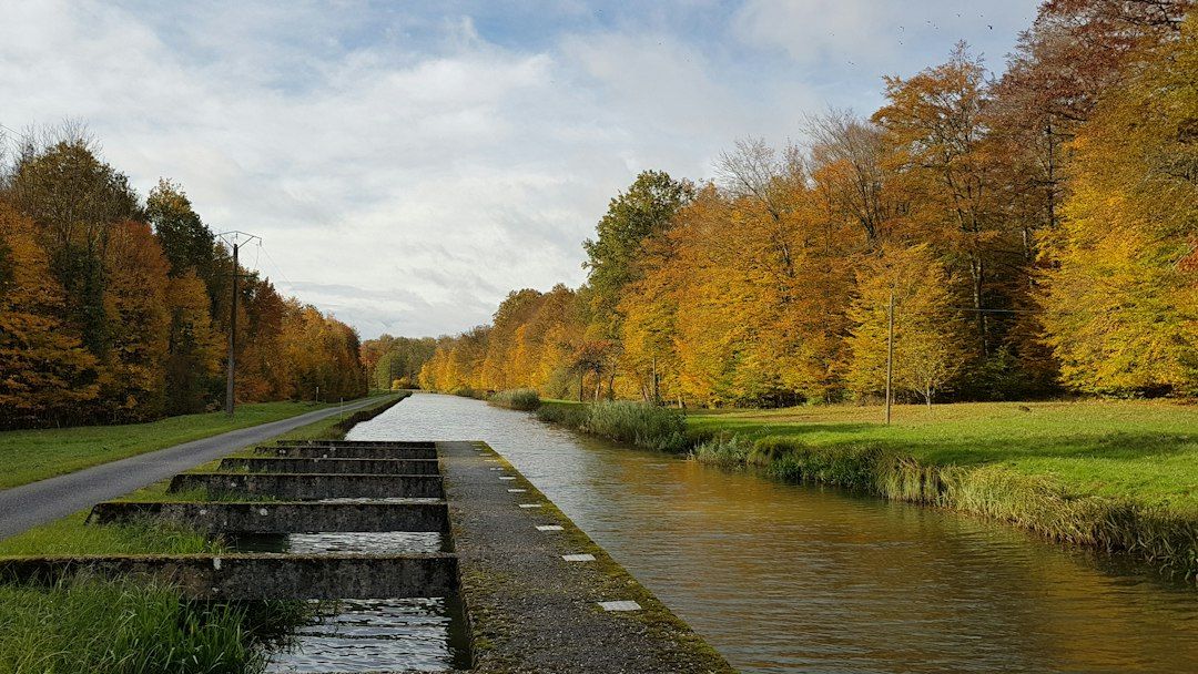 Water of Leith Walkway - Twelve Miles of Riverside Autumn