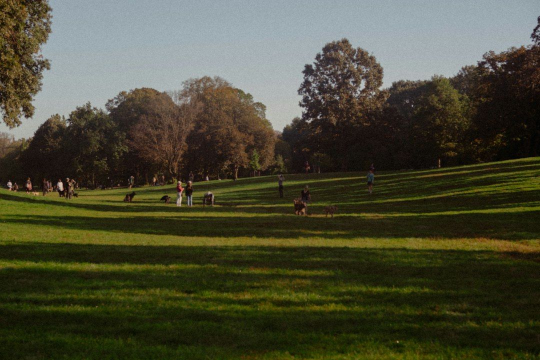 Prospect Park - Brooklyn Foliage Without the Crowds