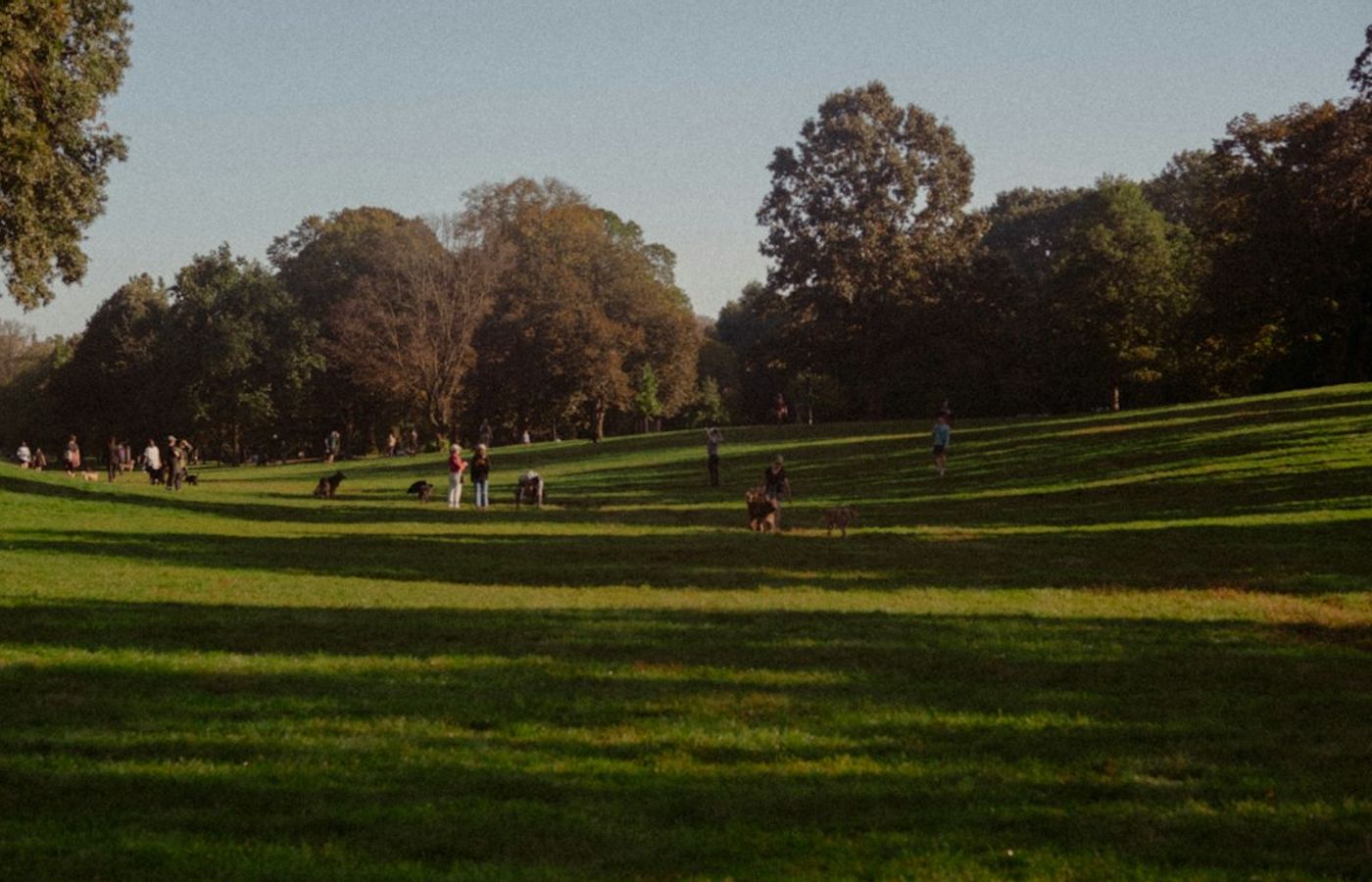 Prospect Park - Brooklyn Foliage Without the Crowds