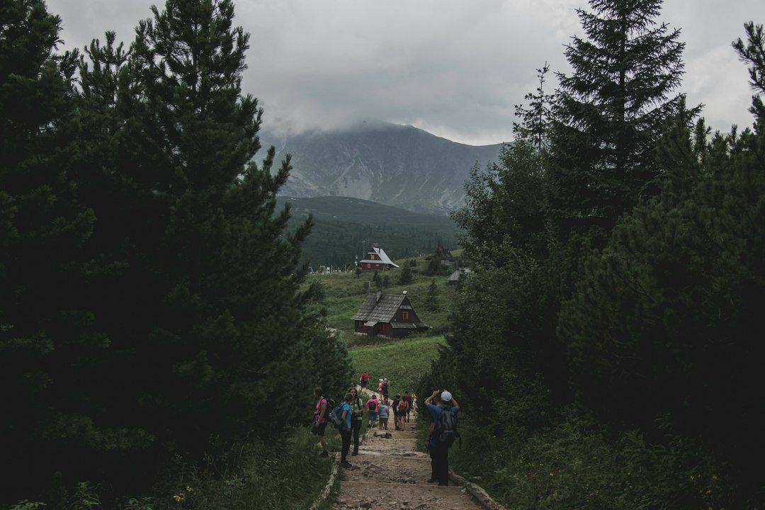 Harenda Zakopane - The Town's Main Floodlit Hill