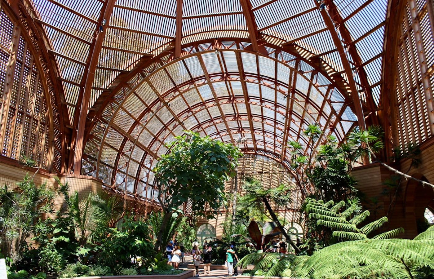 California Academy of Sciences - Rainforest, Aquarium and Planetarium