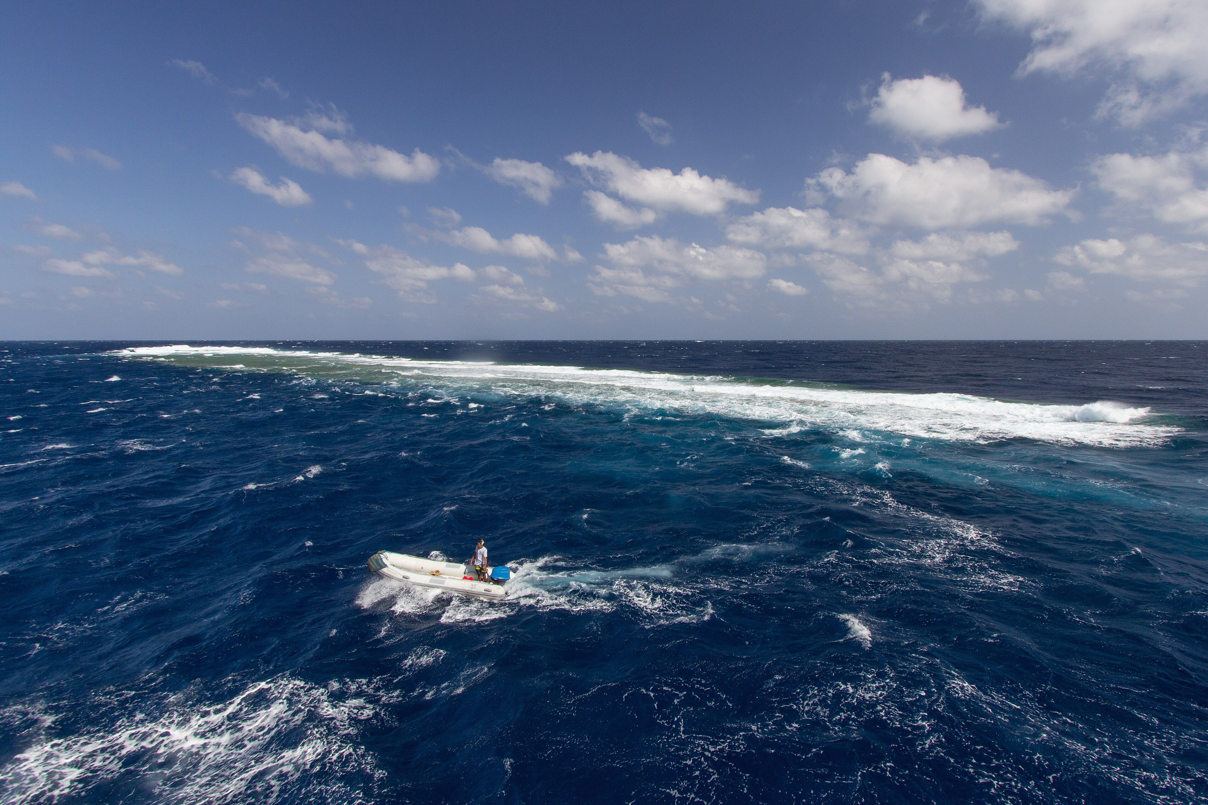 Elphinstone Reef - Pelagic dive site