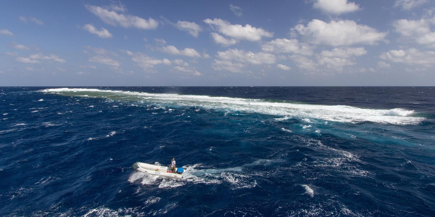 Hotels near Elphinstone Reef