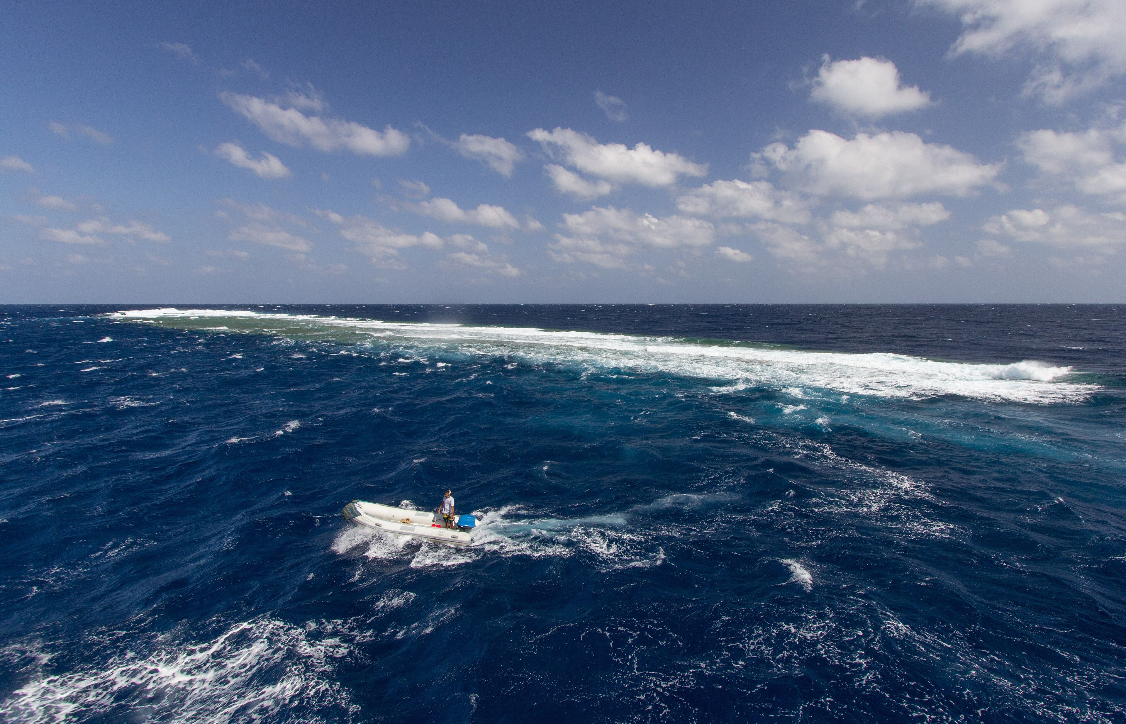 Elphinstone Reef - Pelagic dive site