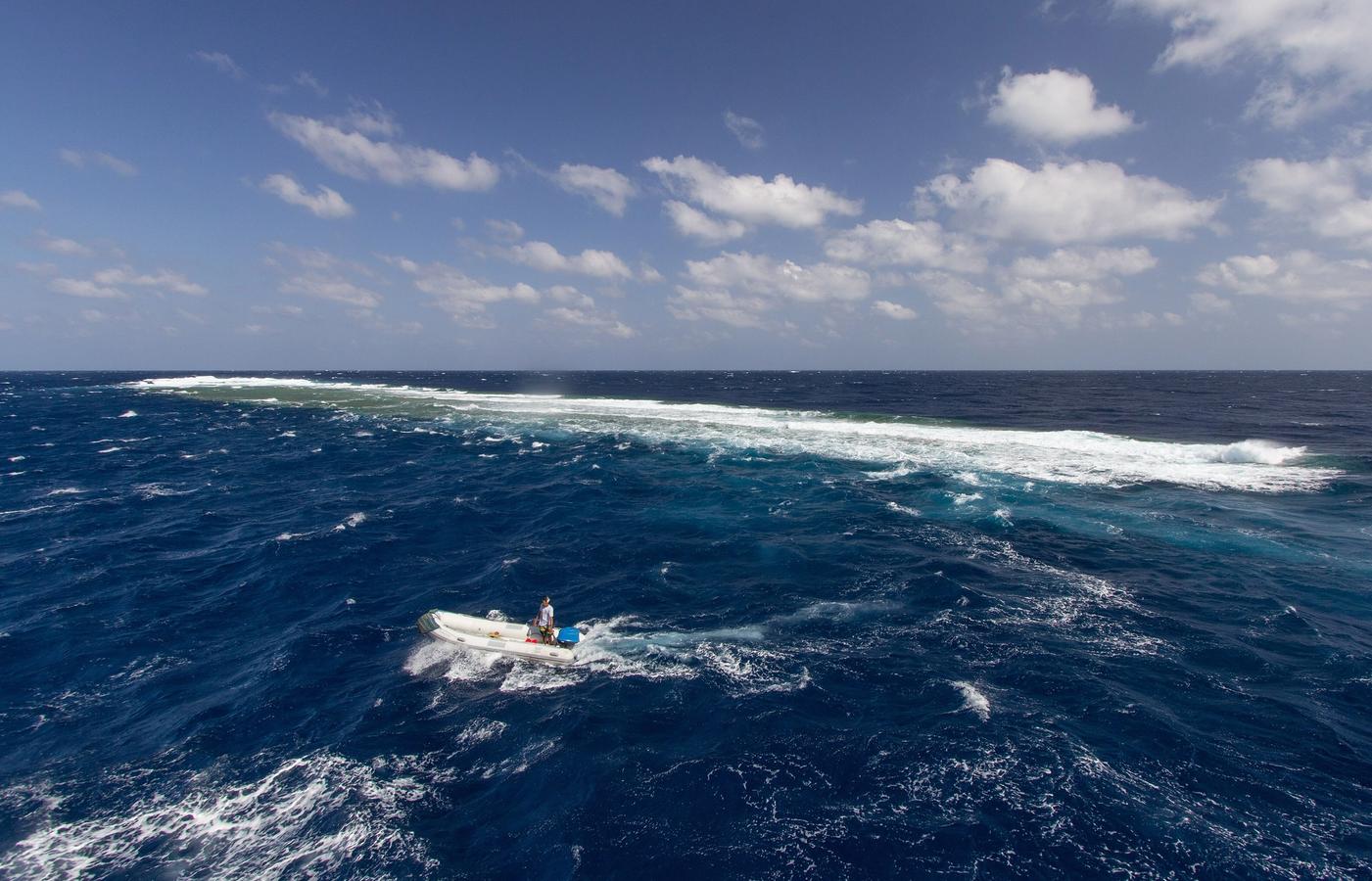 Elphinstone Reef - Pelagic dive site