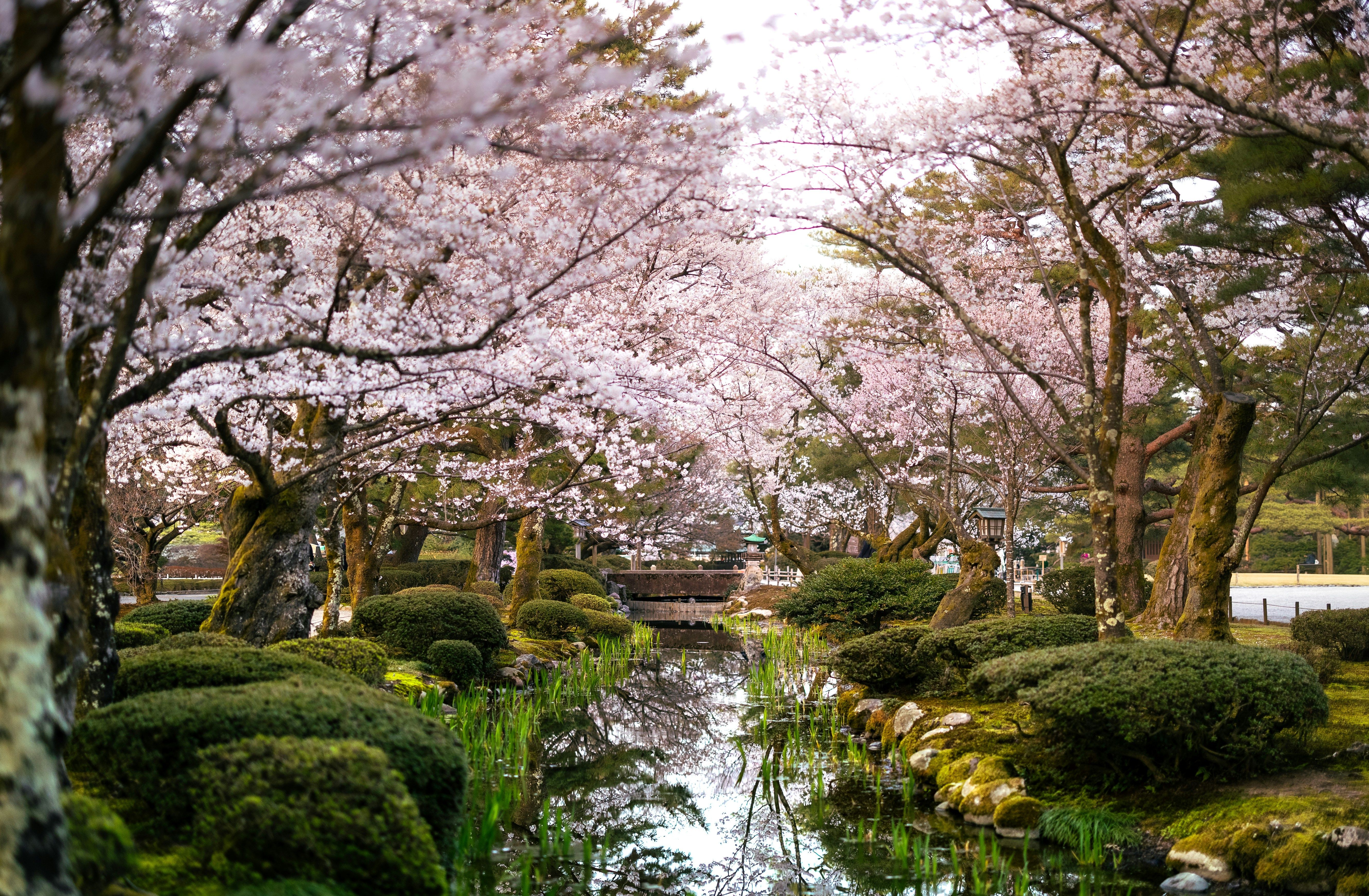 Hotels near Kenroku-en Garden
