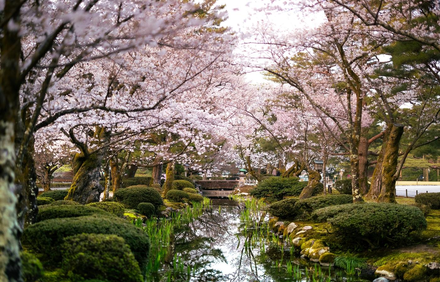 Kenroku-en Garden - Japan's Most Celebrated Landscape Garden
