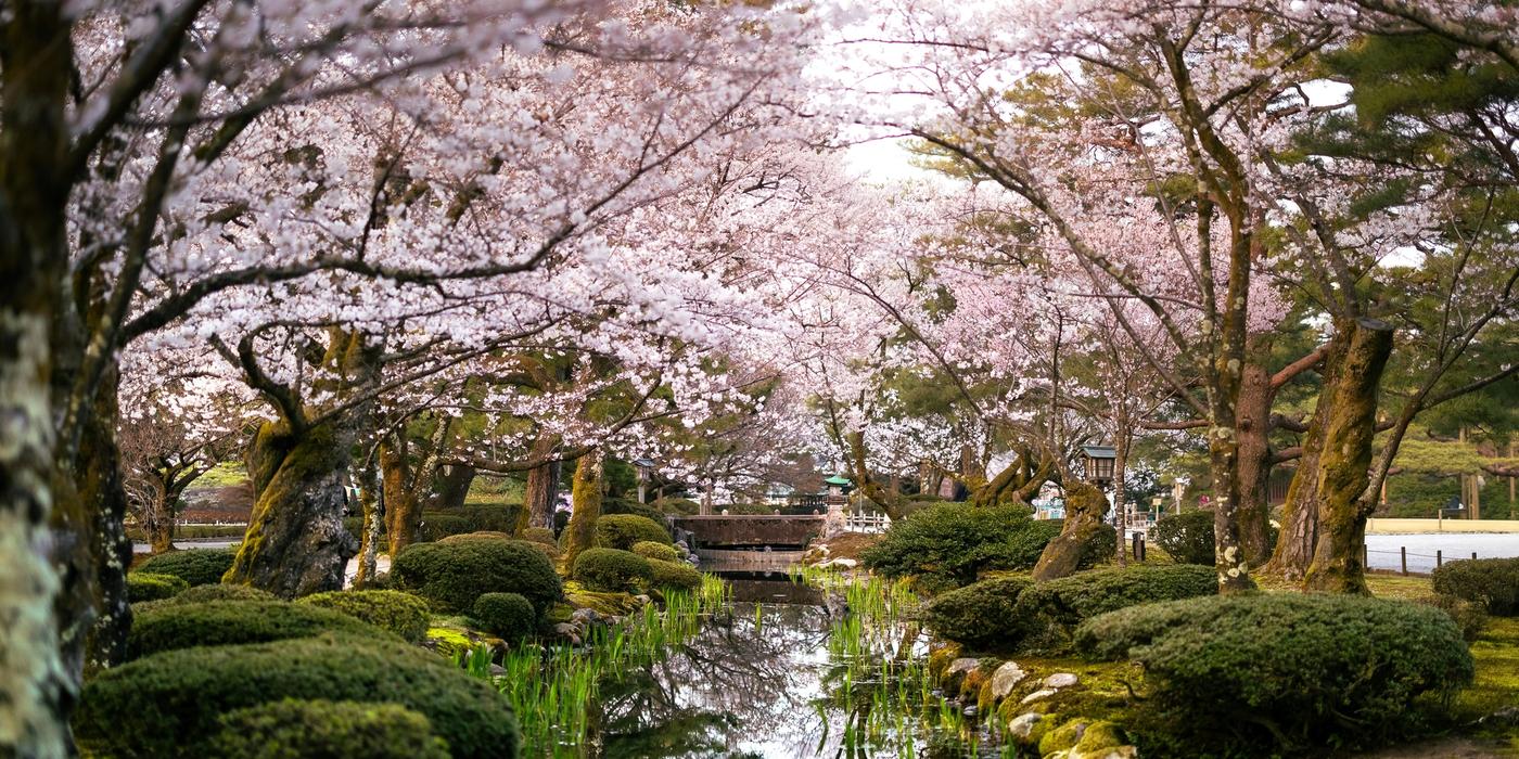 Kanazawa Featured Hotels
