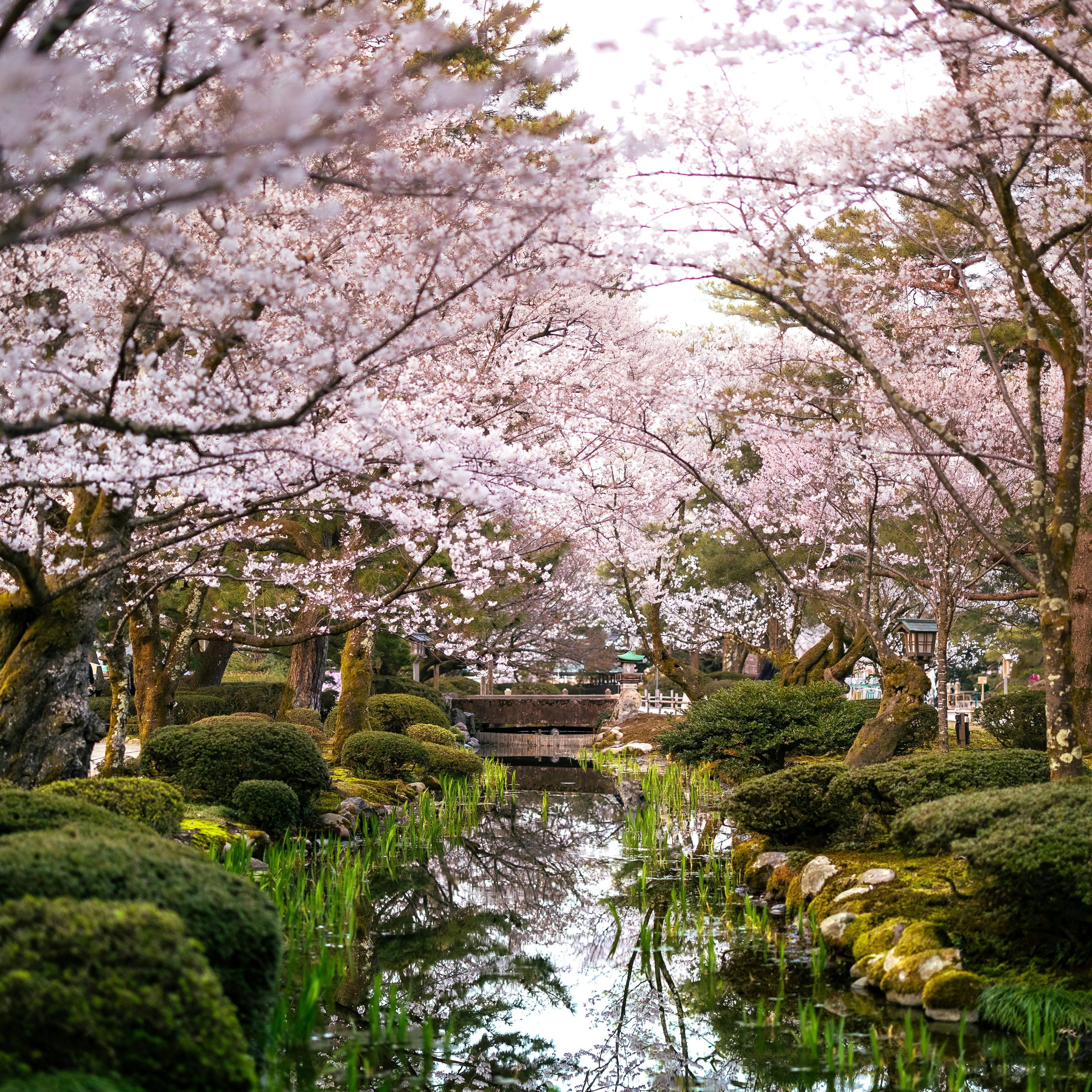 Kanazawa