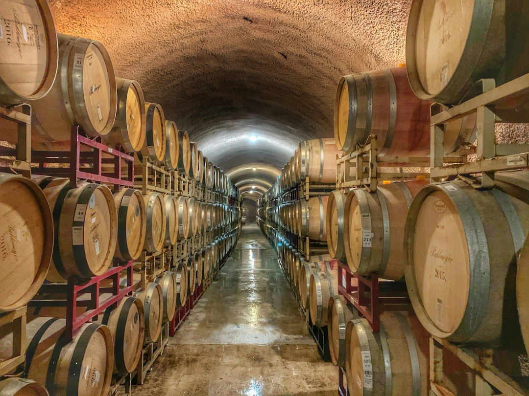 Heuriger Wine Taverns - Sturm Season in the Vineyards