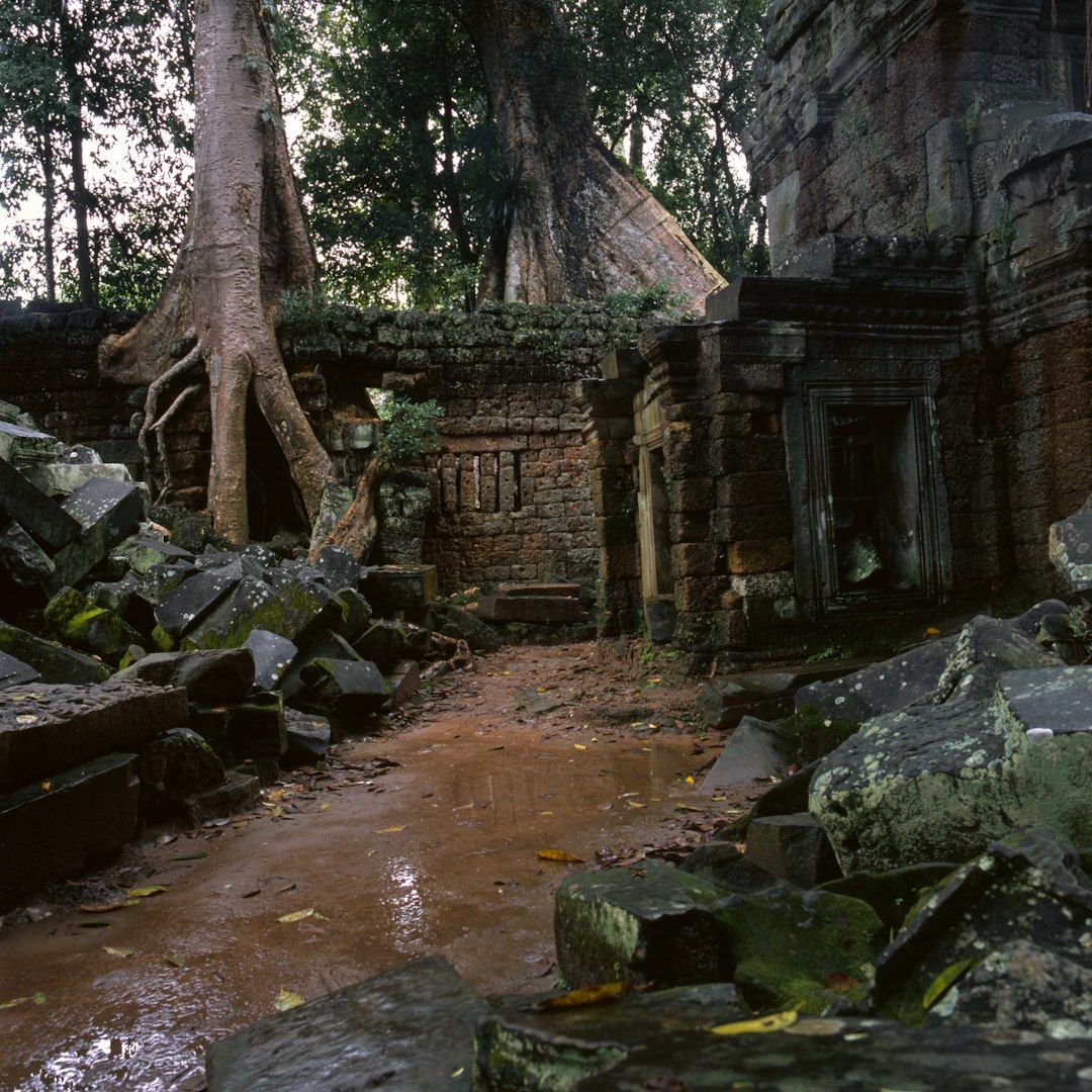Ta Prohm - The Temple Left to the Trees