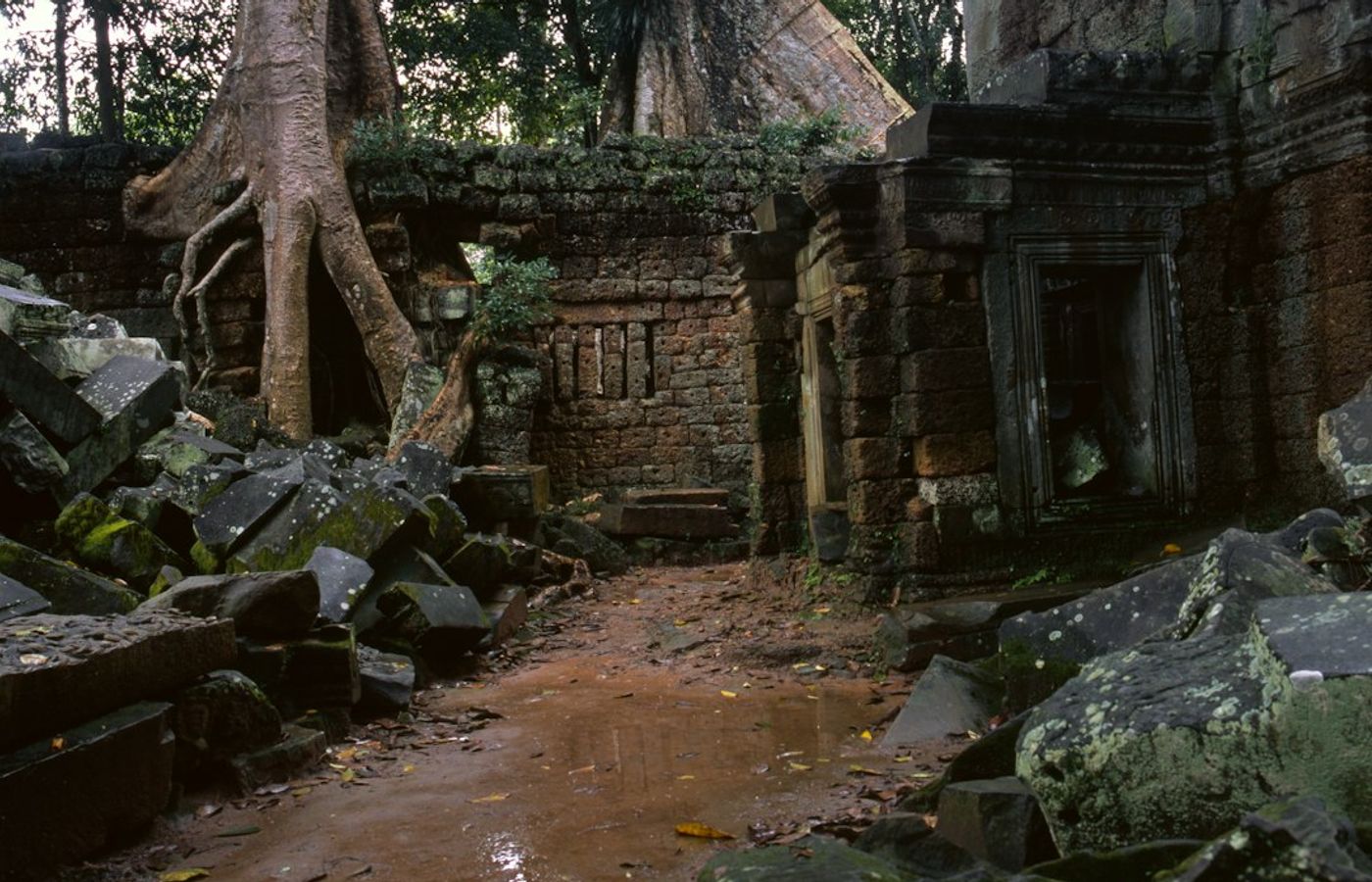 Ta Prohm - The Temple Left to the Trees
