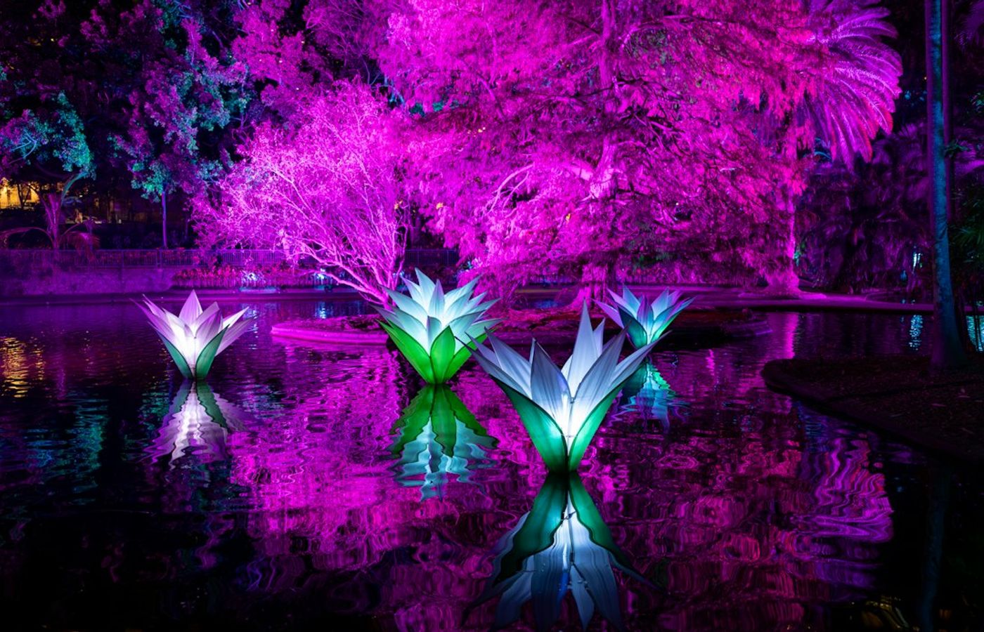 Gardens of Light - Lanterns at the Montreal Botanical Garden