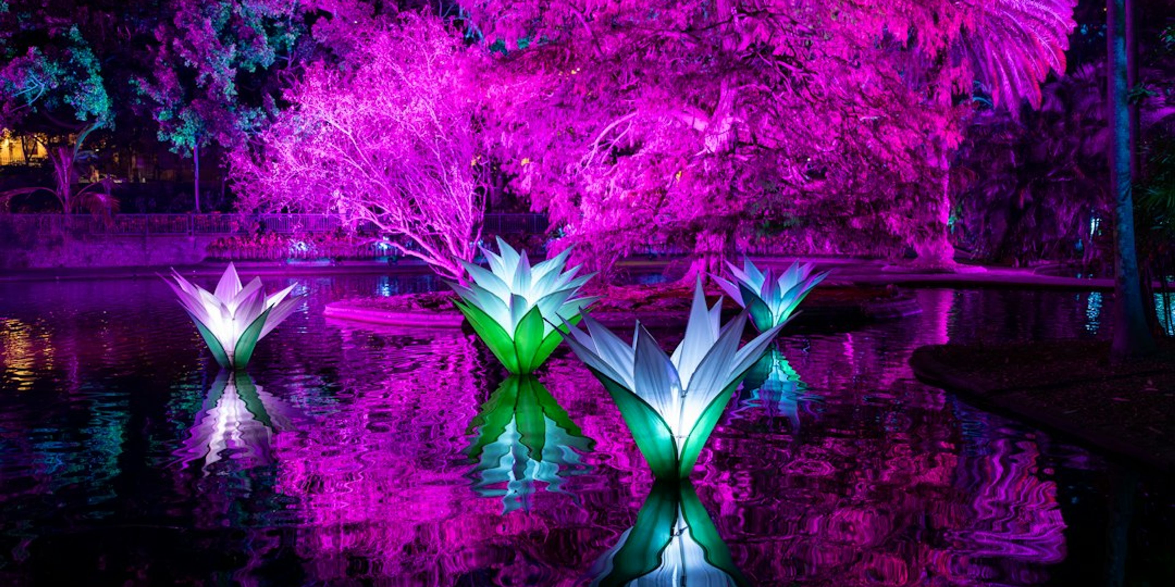 Hotels near Gardens of Light