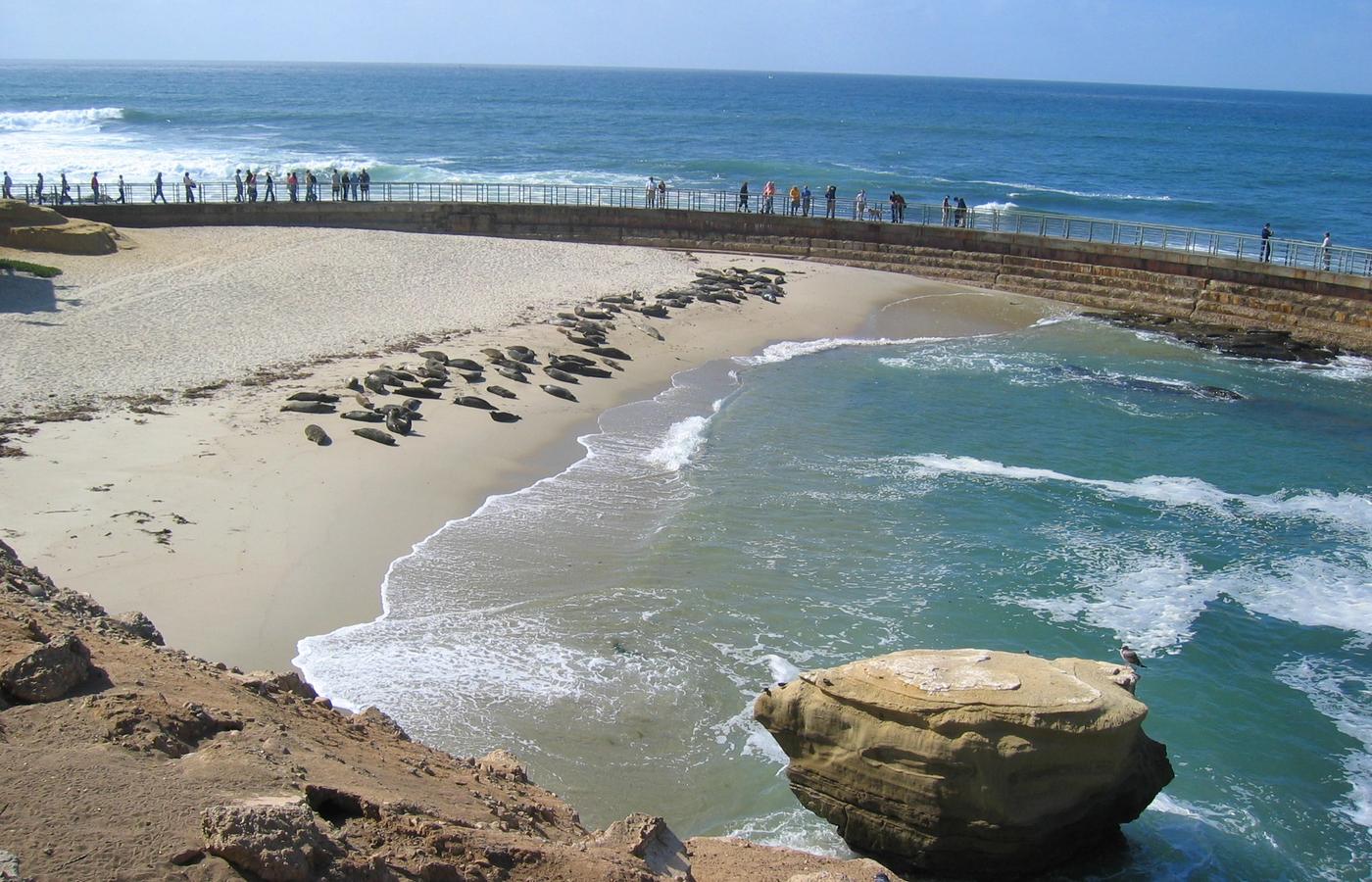 La Jolla Cove and Tide Pools - Sea Lions and Sea Caves