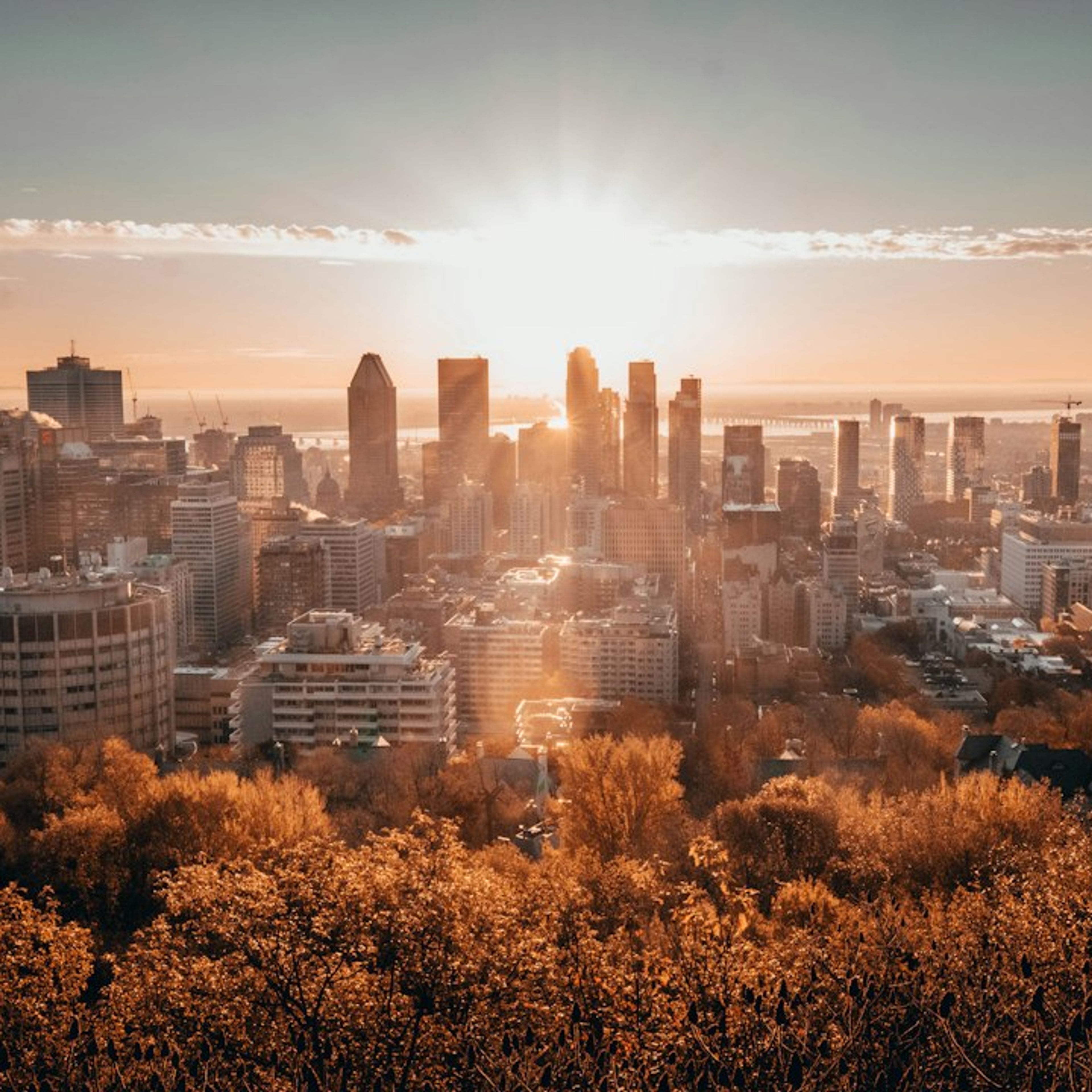 Montreal in October: Fall Foliage, Gardens of Light and Weather