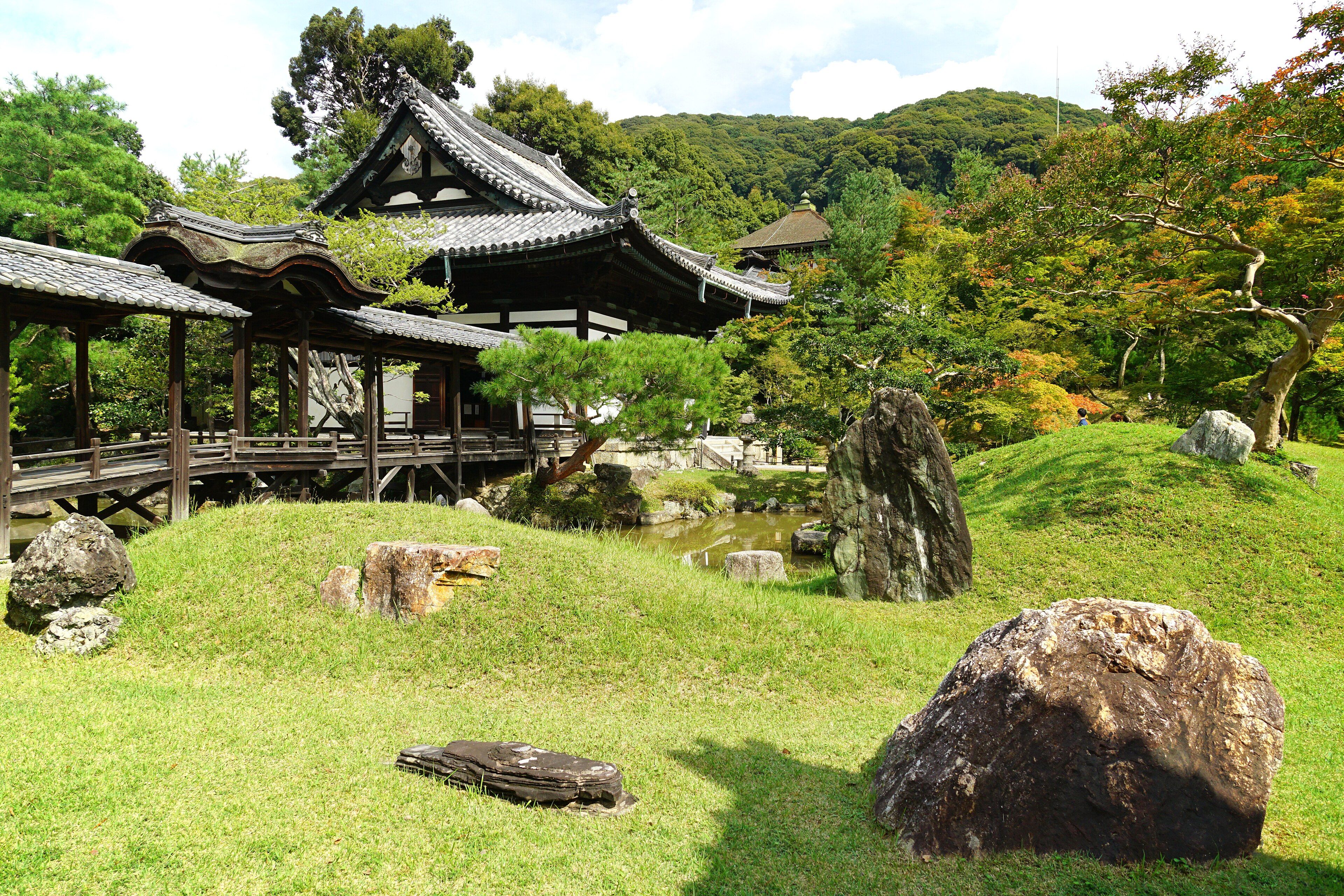 Kodai-ji - The Longest Night Viewing Window in Kyoto