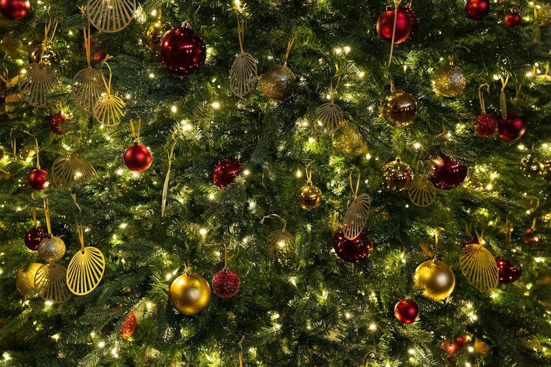 Royal Route Christmas Illuminations - 20 km of Lights