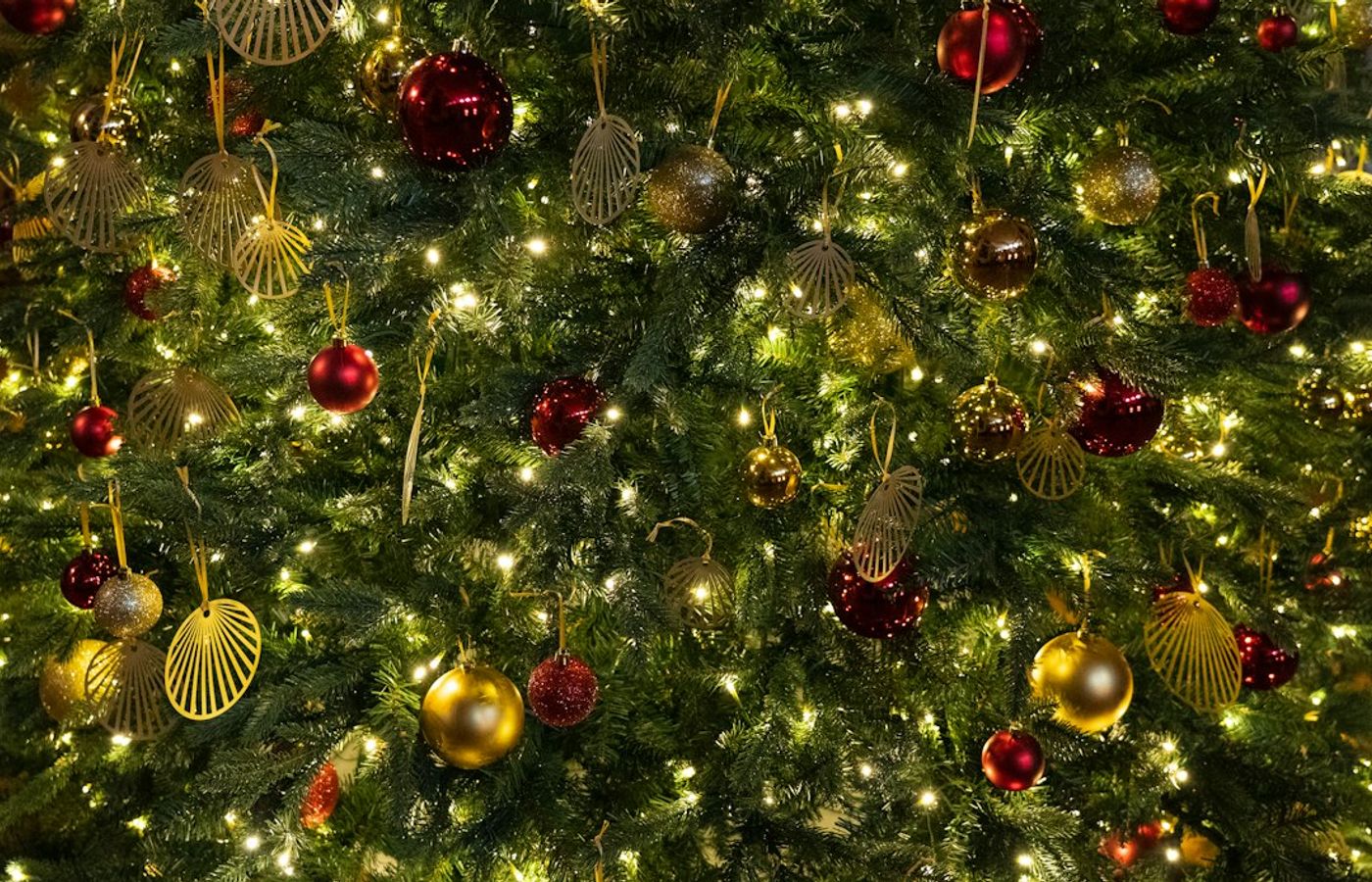 Royal Route Christmas Illuminations - 20 km of Lights