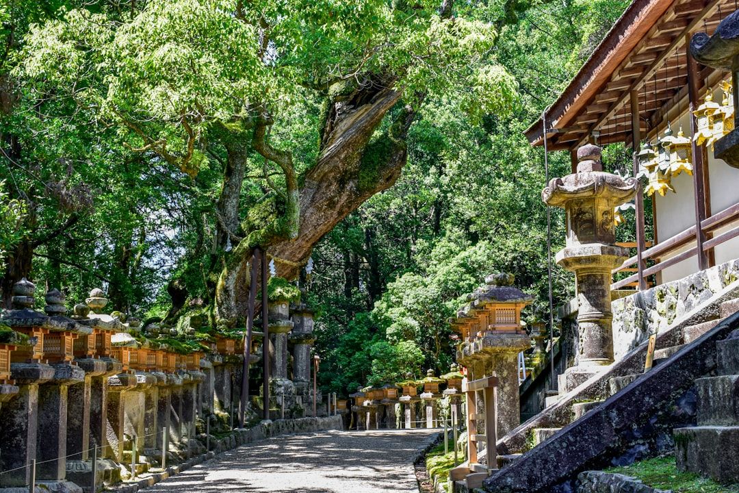 Kasuga Taisha - Three Thousand Lanterns in the Cedar Forest