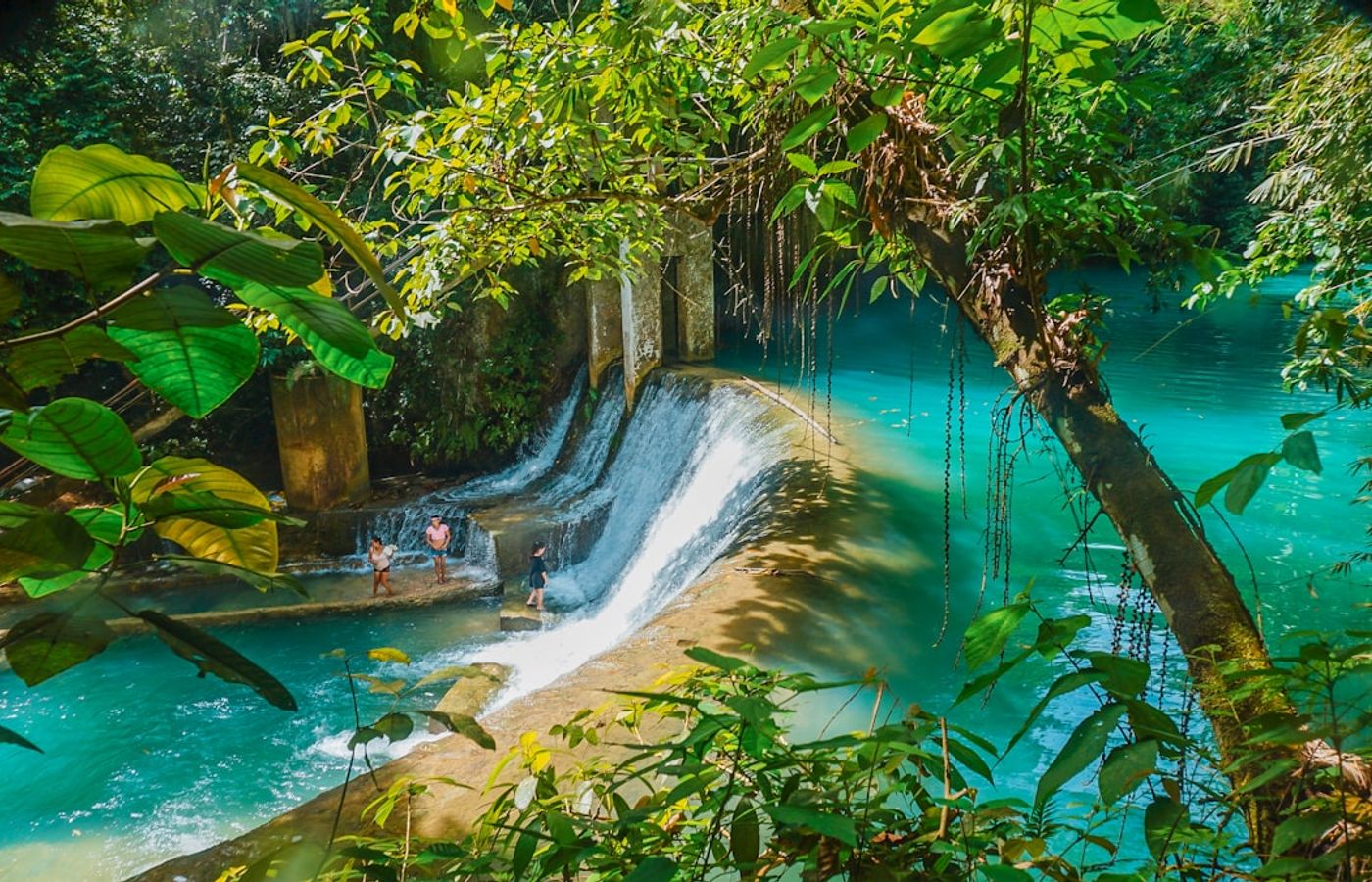 Kawasan Falls Canyoneering - The Best Adventure Day in Southern Cebu
