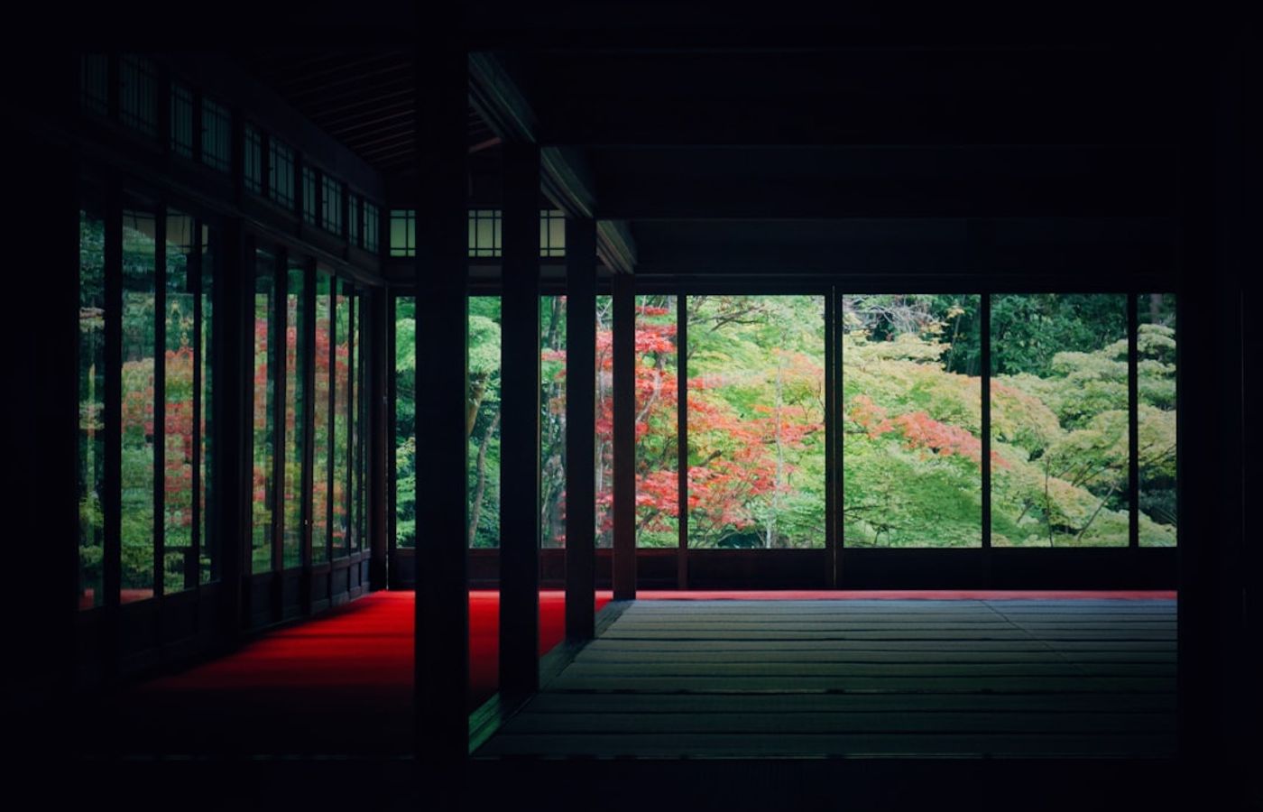 Eikan-do Zenrin-ji - Kyoto's Densest Maple Grounds, Day and Night