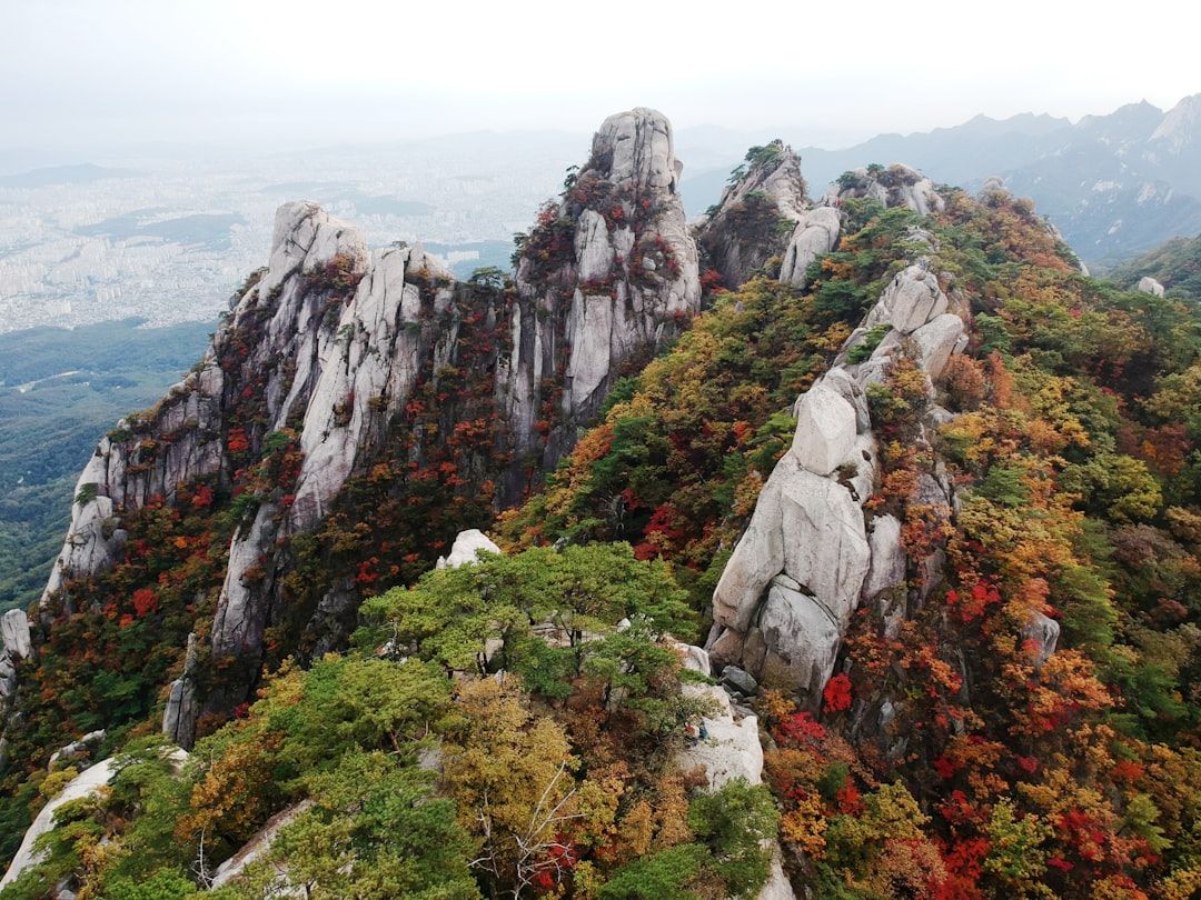 5 Best Hikes Near Seoul
