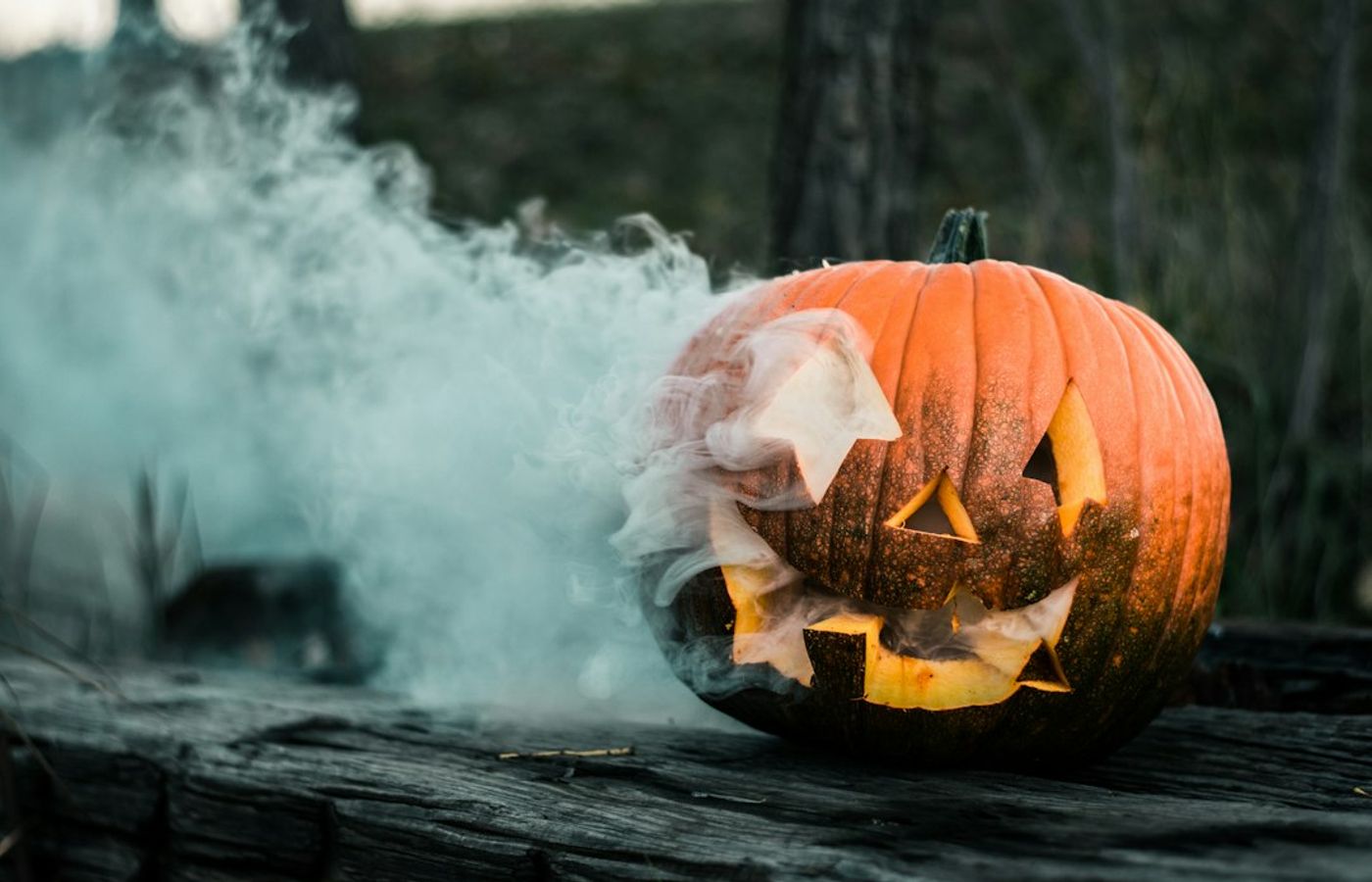 Boo at the Zoo - Halloween Nights at Nashville Zoo