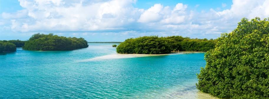 Sian Ka'an Biosphere Reserve - UNESCO Wilderness