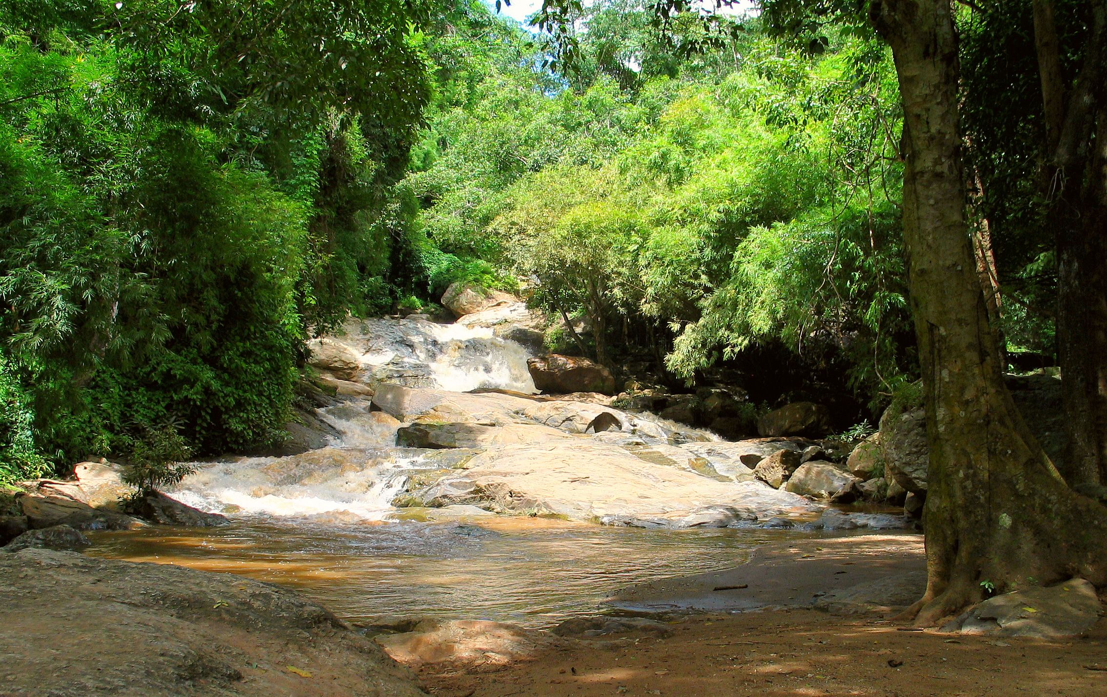 Doi Pui Summit Trail - The Highest Point in Doi Suthep-Pui National Park
